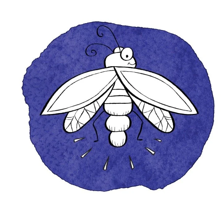 Lil' Entomologist STEM Camp