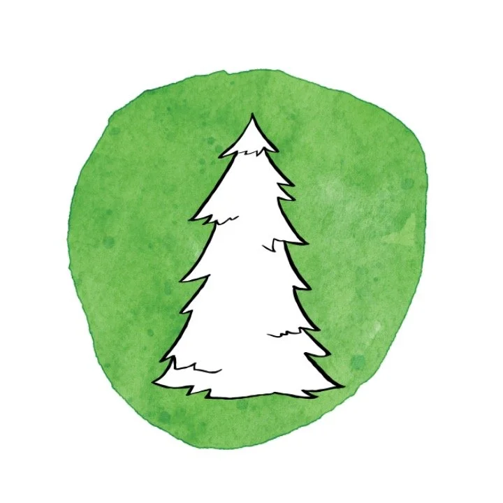 Lil' Forester STEM Camp