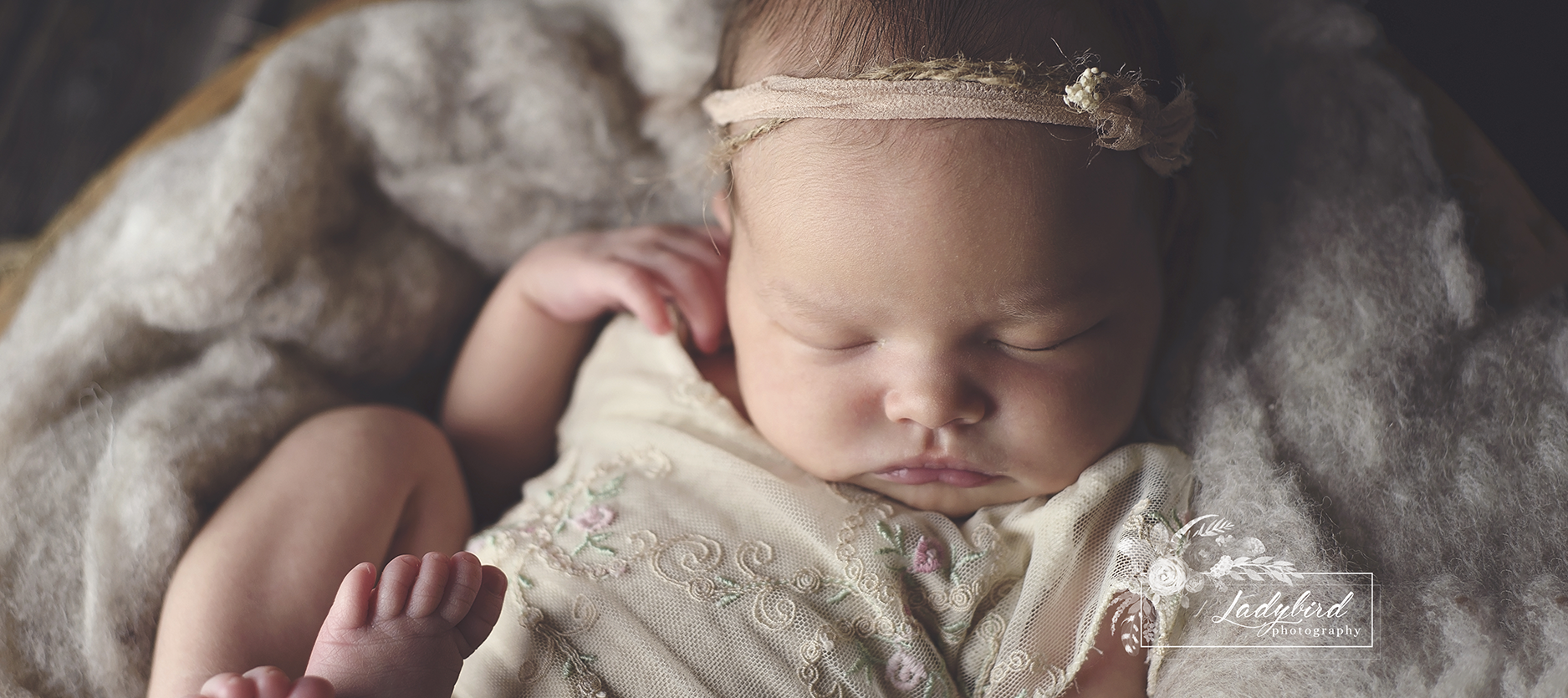 edmonton-baby-newborn-photographer-photography-photos-pictures-14.png