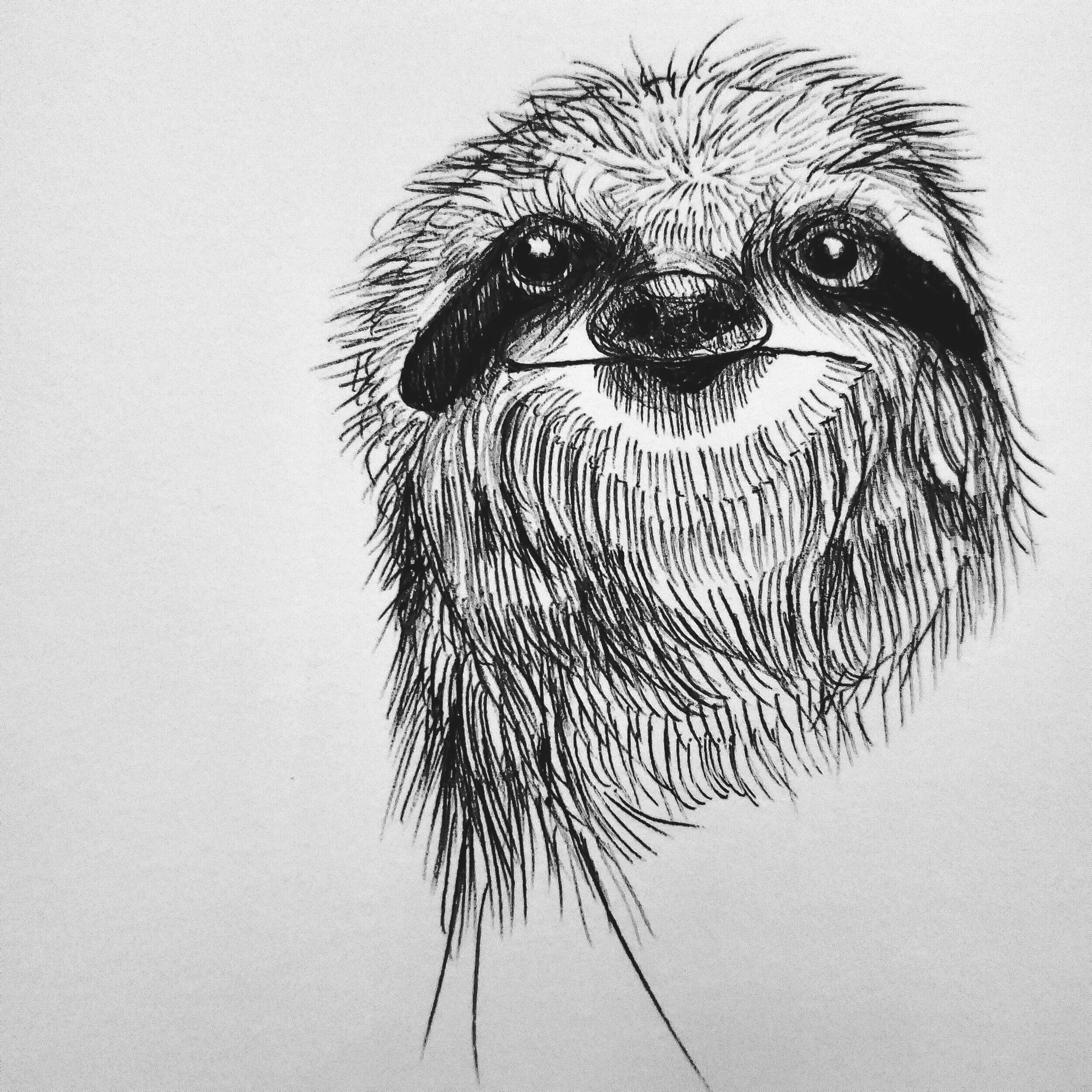 Super Sloth Love Eyes