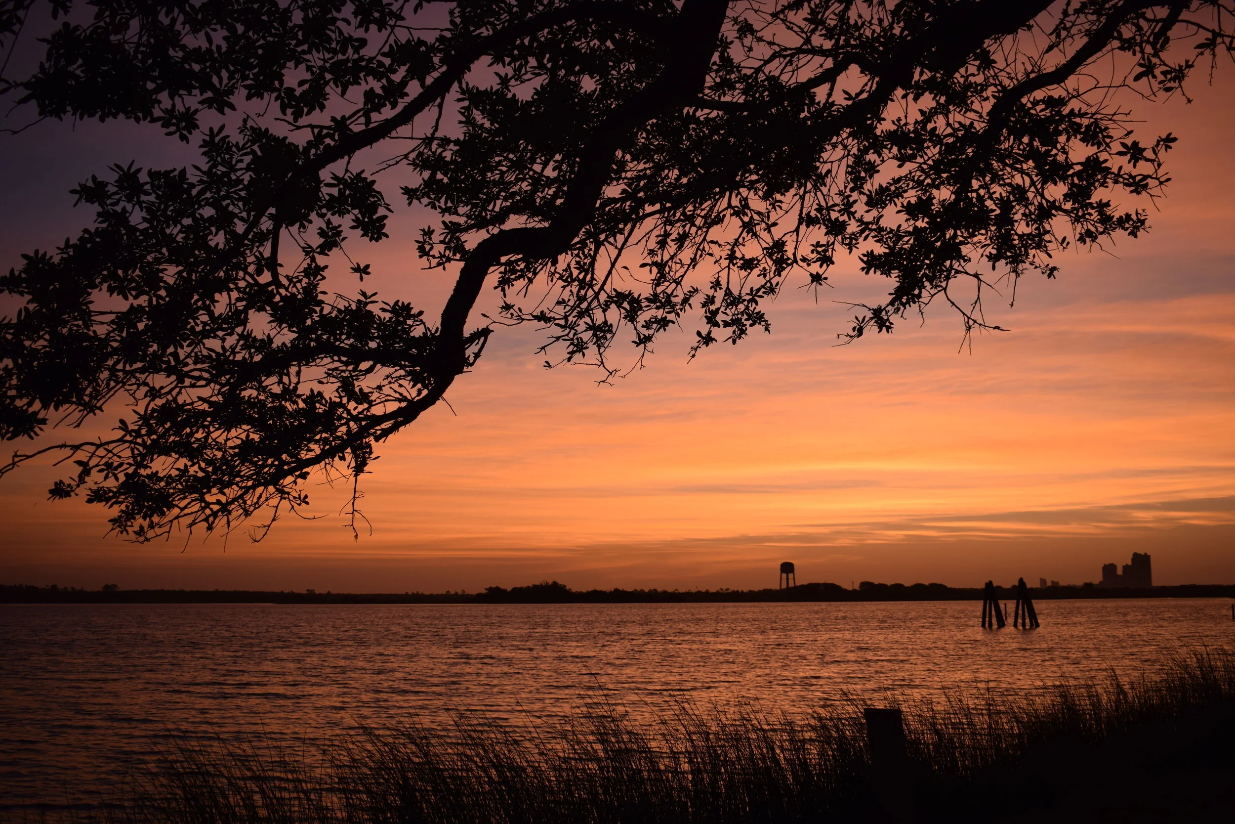 DSC_0644.JPG