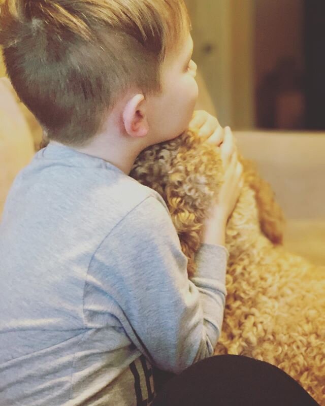 Coco found her soul brother 🐶 👦 . Coco would be the forever guardian of this little Angel and his sister. Hooray Goldendoodle 🌹🏡 🐶 🍼 👶 👫 &bull;
&bull;
#austingoldendoodles #doodlesofinstagram #goldendoodlesofinstagram #goldendoodles #minigold