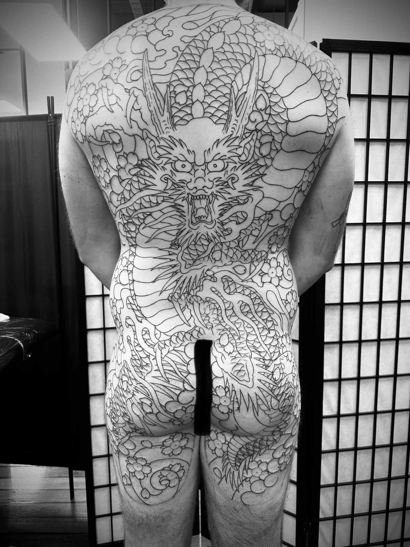 Starting huge dragon back!