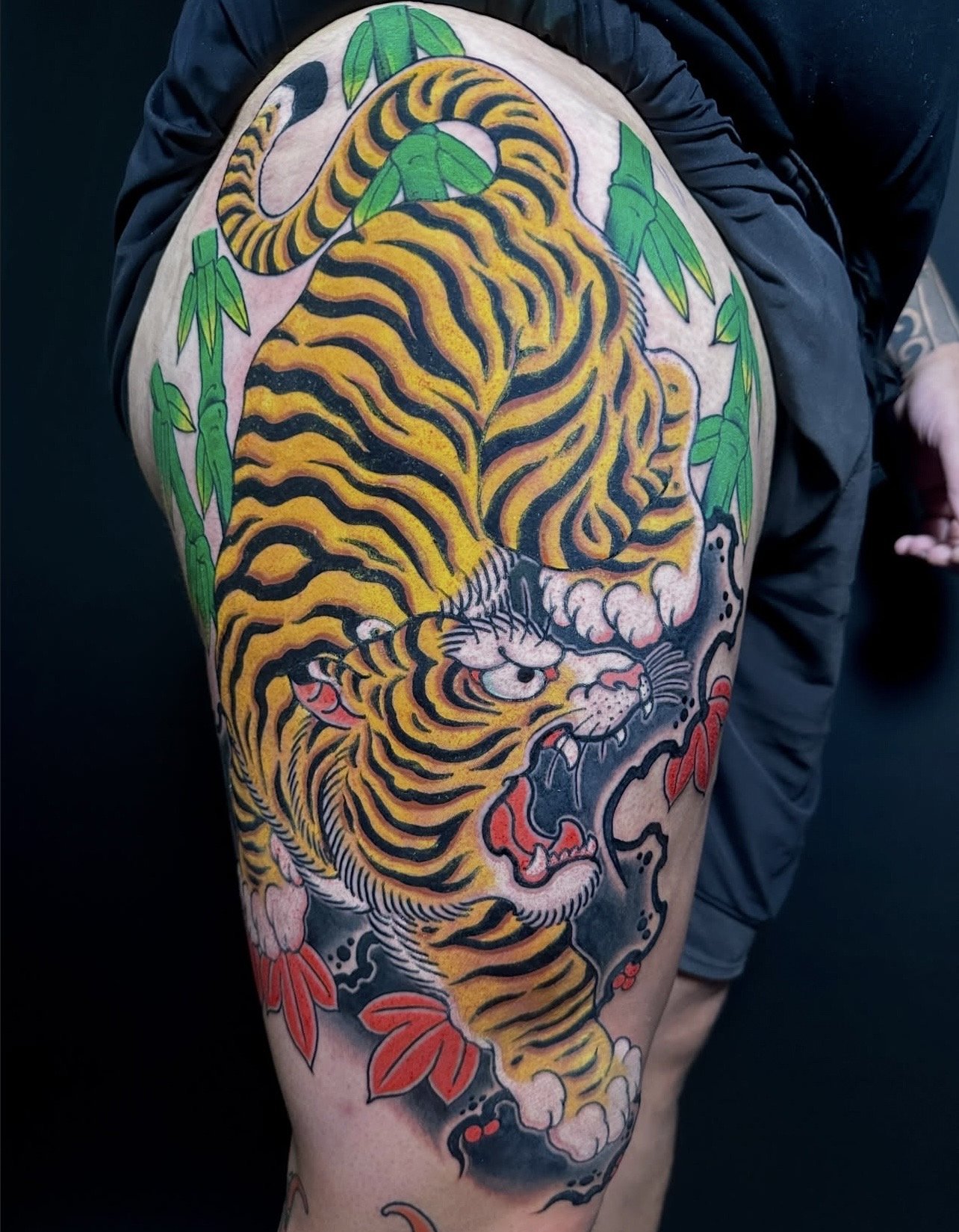 Japanese Tiger Tattoo by TomTom at Sunset Tattoo in Auckland, New Zealand