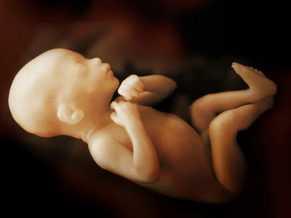 Neonatal-Abstinence-Syndrome-How-Drug-Use-Affects-Babies.jpg