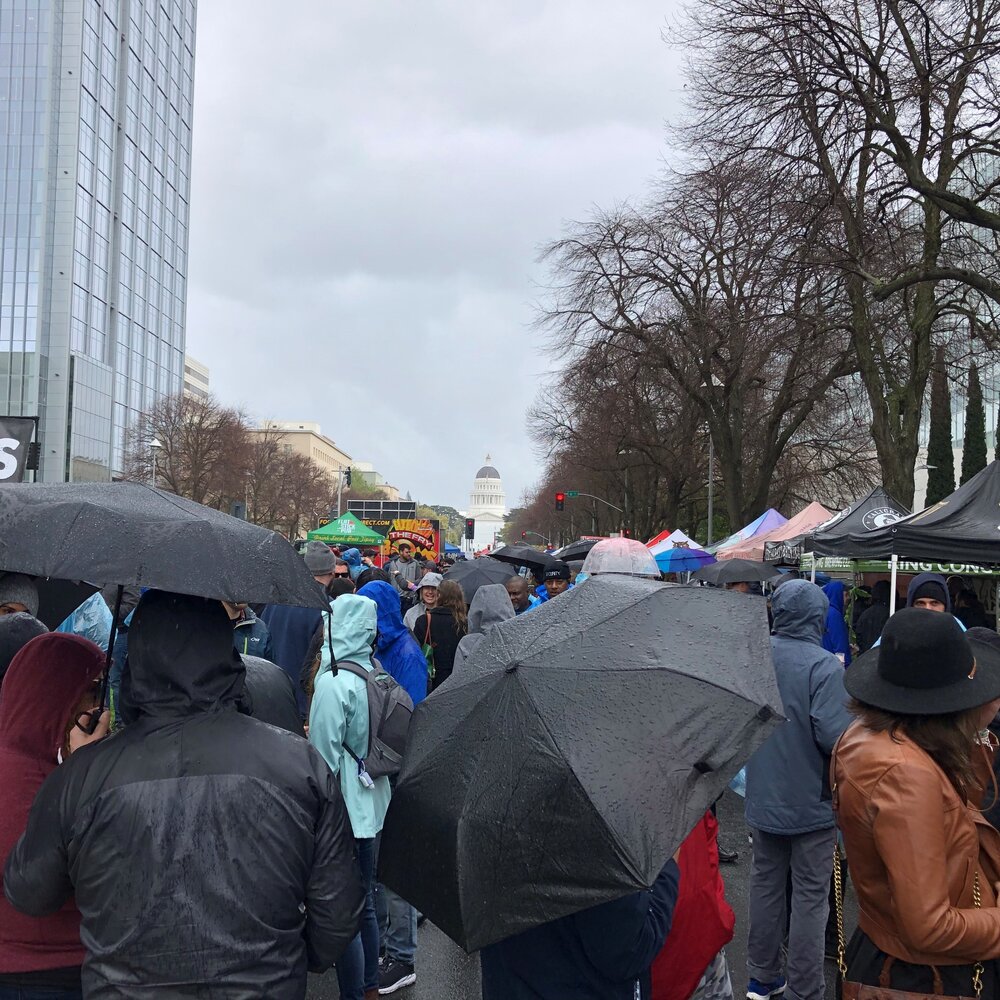 Tons of umbrellas and almost no need. Organizers hoped to add a classic car show this year. Maybe next year. Photo by Bob Moffitt
