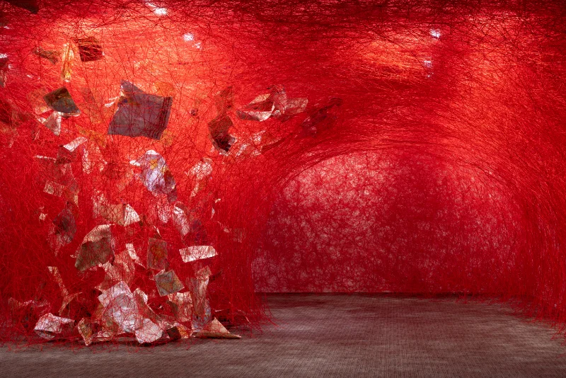 2019_Crossroads_Honolulu Biennial_photo Christopher Rohrer_1.jpg