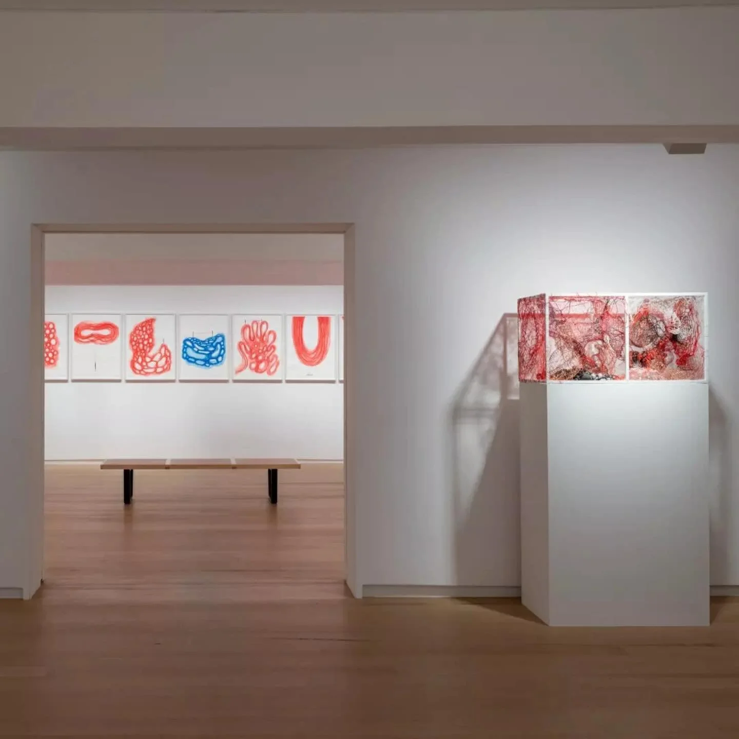 #Repost @galerietemplon
・・・
Last week to wonder around in Chiharu Shiota&rsquo;s enchanting solo show in our New York space.

Thread-filled boxes, delicate reliquaries of memory and a chair : Chiharu Shiota constructs a striking scenography that inte