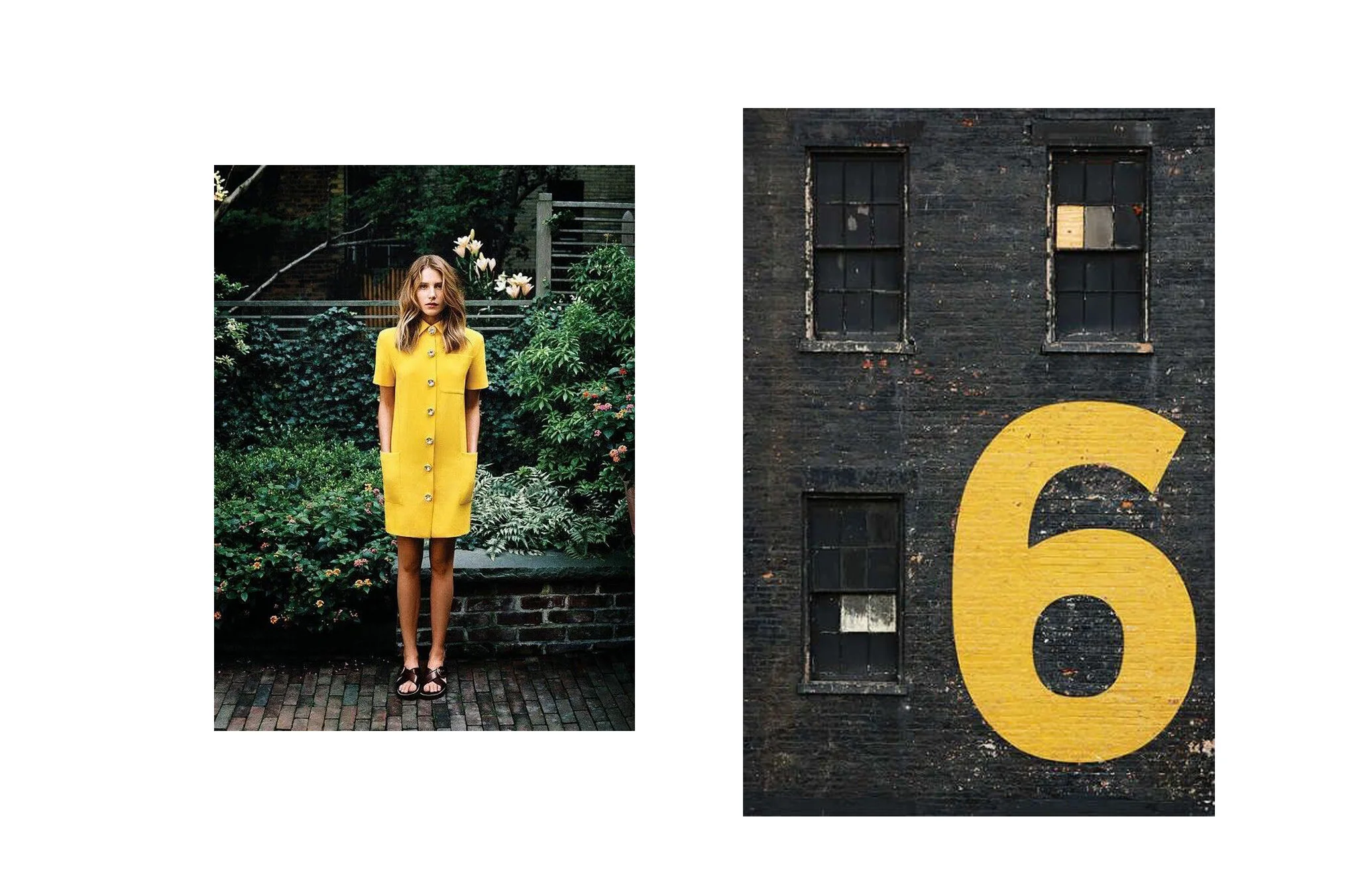 her yellow 2.jpg