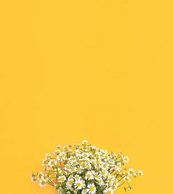 goingtotehran.com via Pinterest