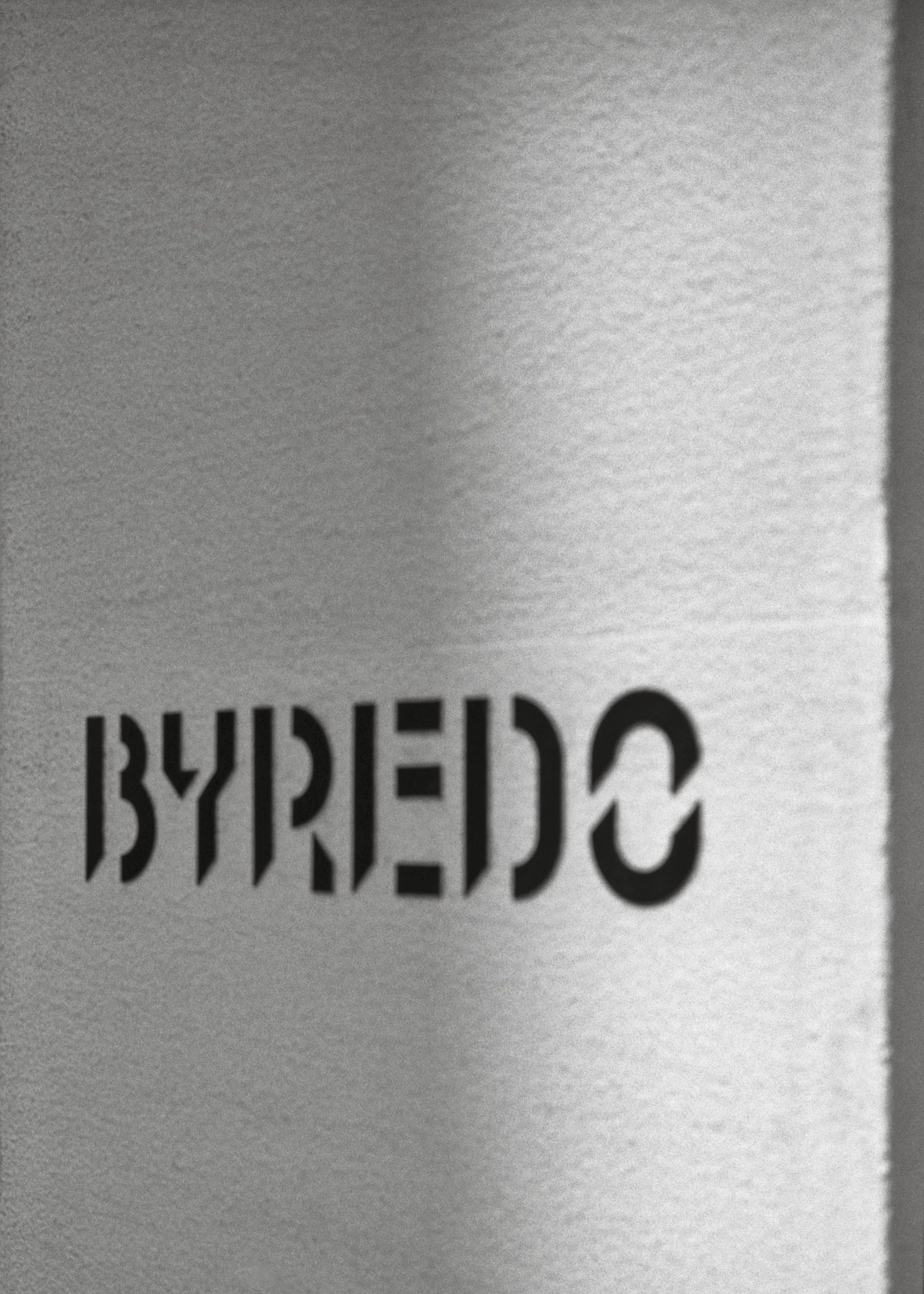 BYREDO_TDM_400TX_12.jpg