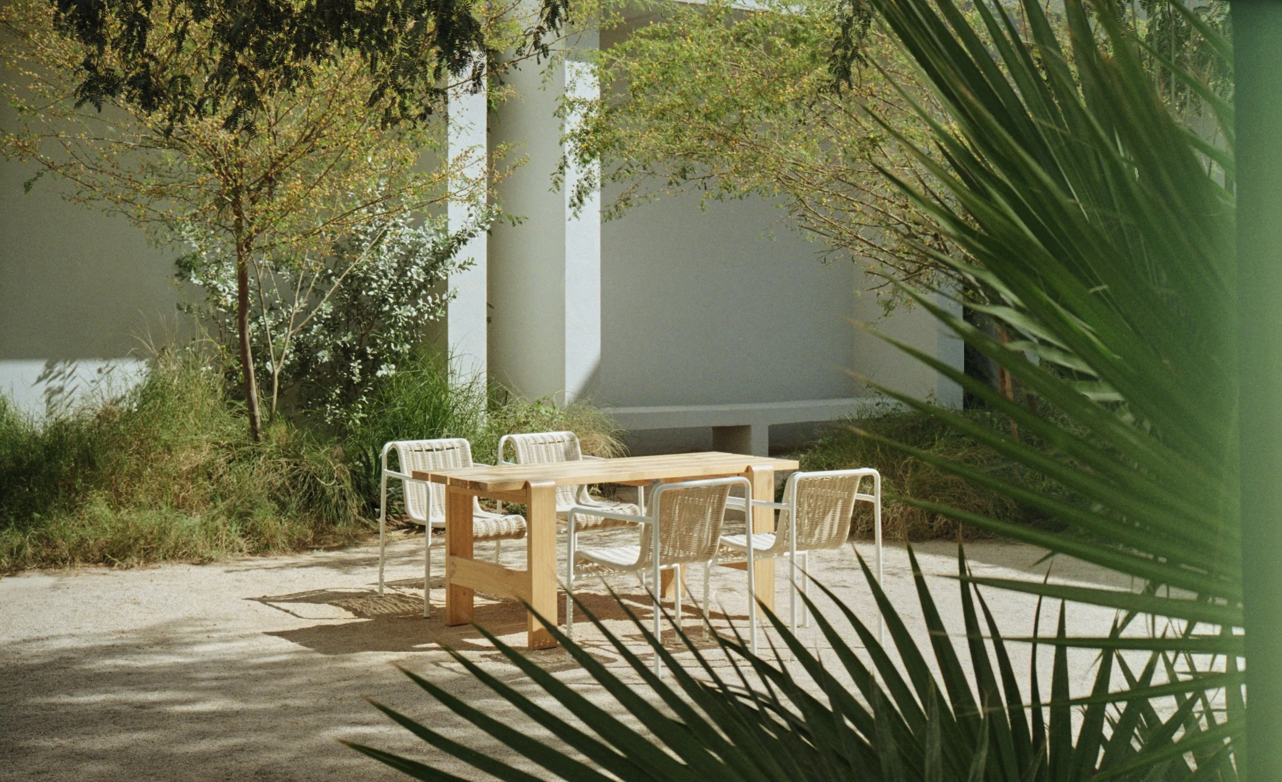 PAUS_Bone_61_Web resolution.jpg