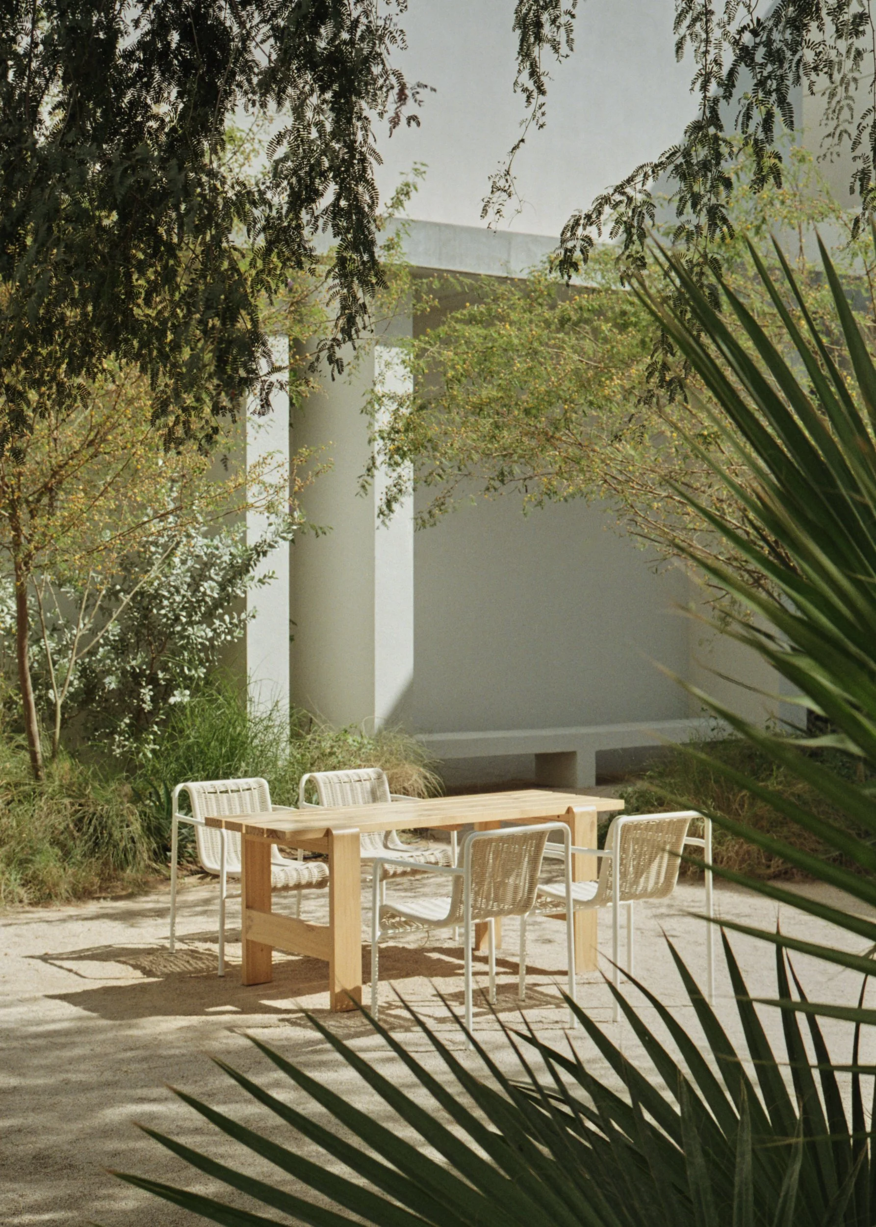 PAUS_Bone_60_Web resolution.jpg