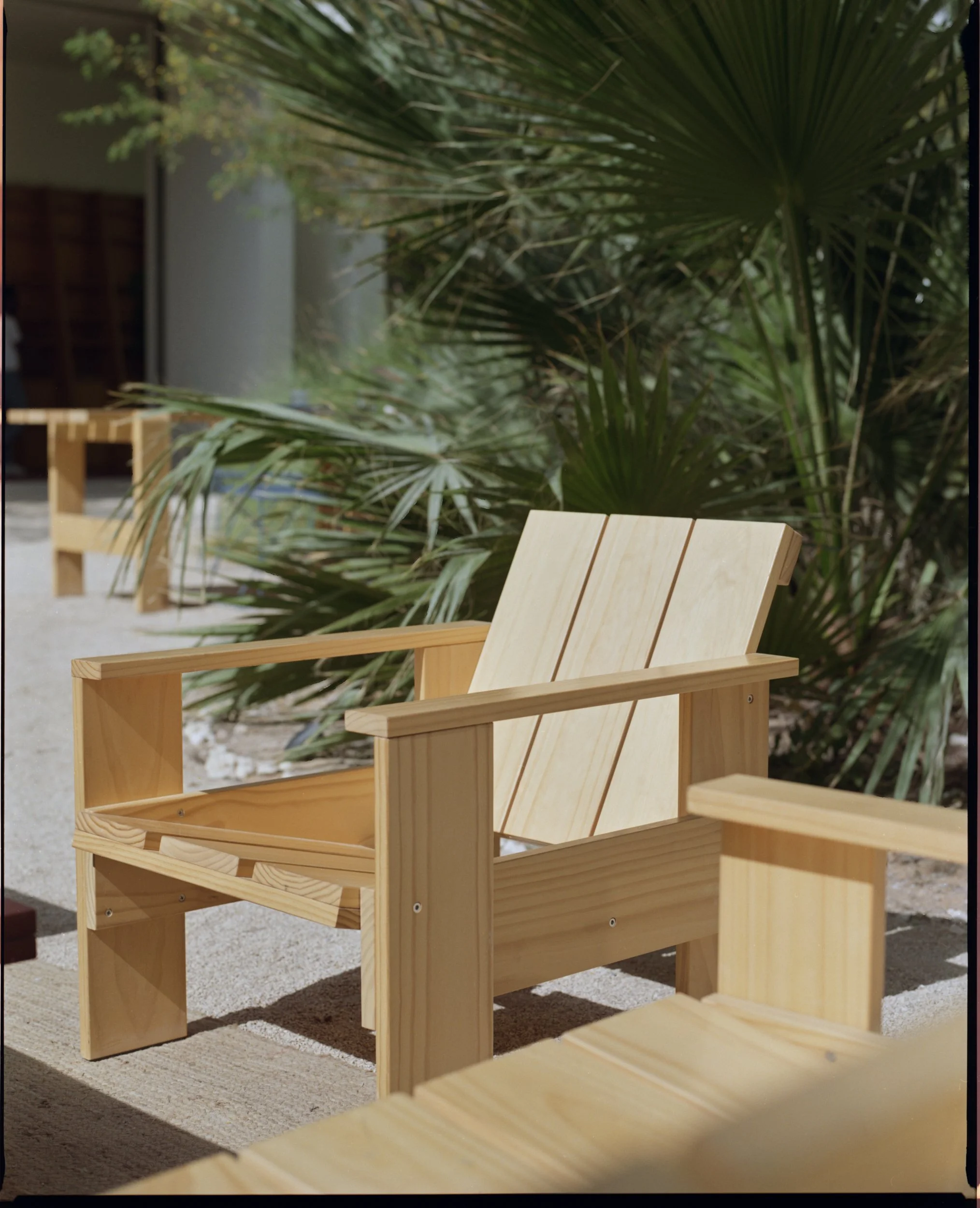 PAUS_Bone_55_Web resolution.jpg