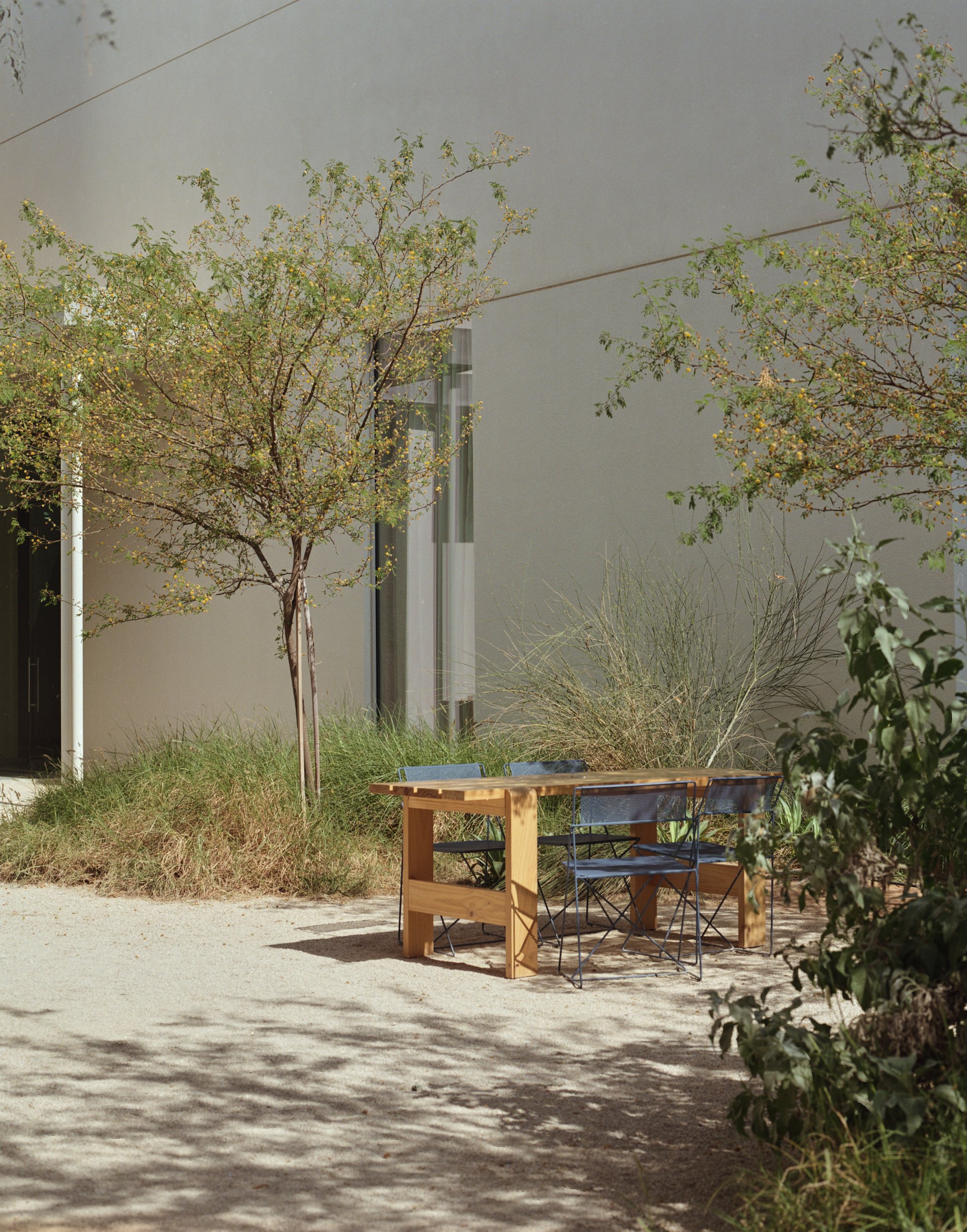 PAUS_Bone_53_Web resolution.jpg