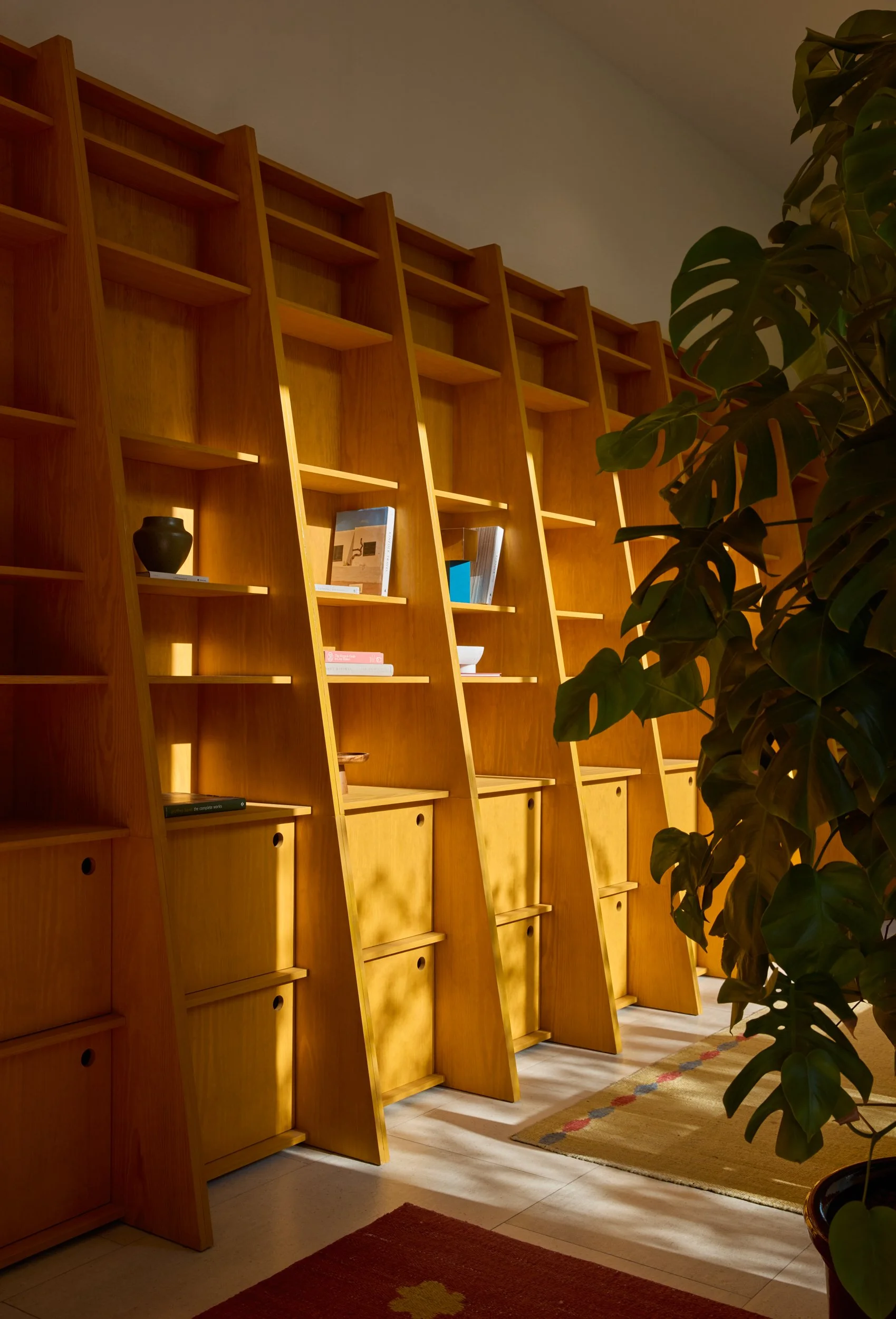 PAUS_Bone_1_Web resolution.jpg