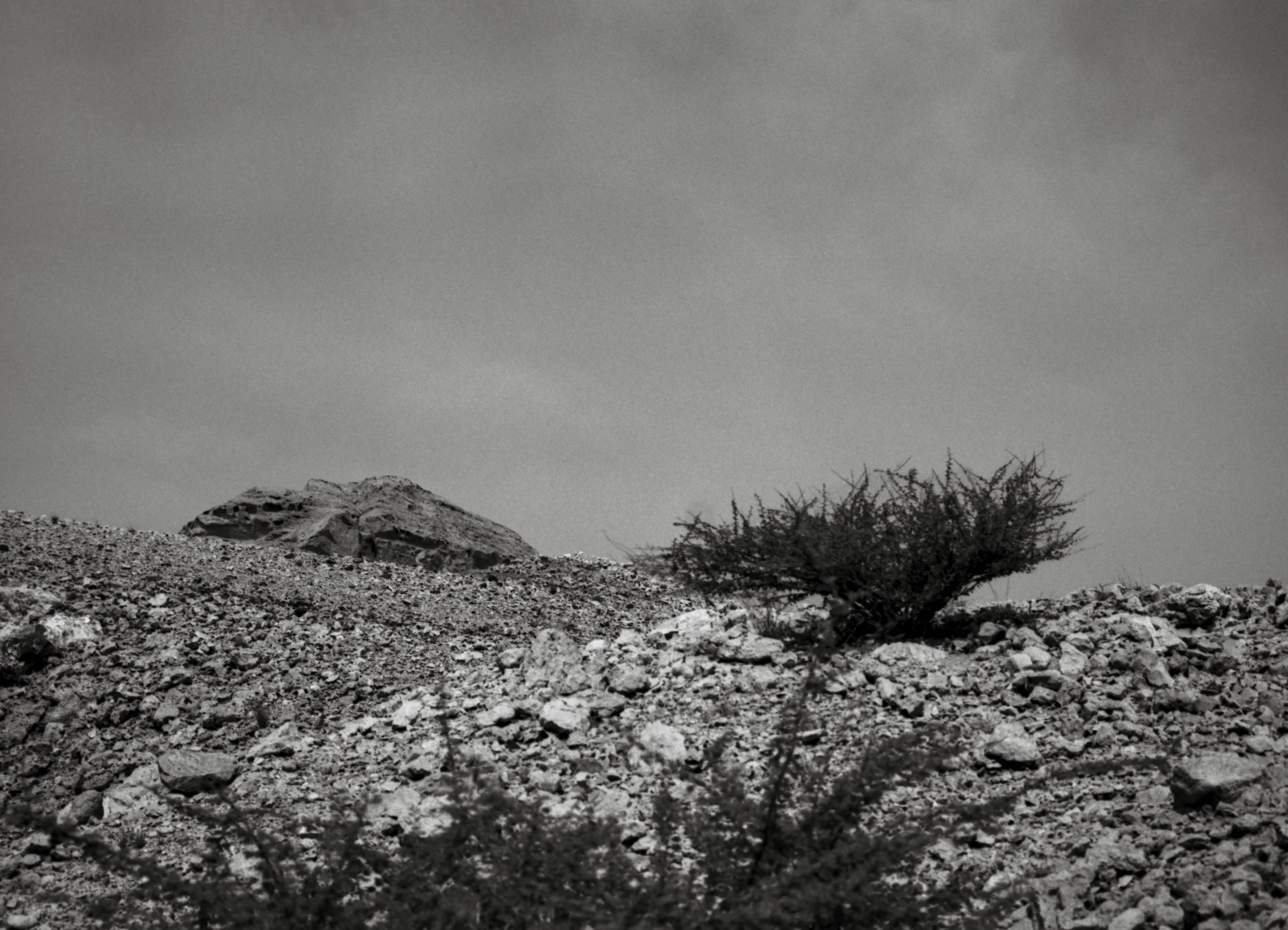 Buhais_Leica Monopan 50_0022_Web resolution.jpg