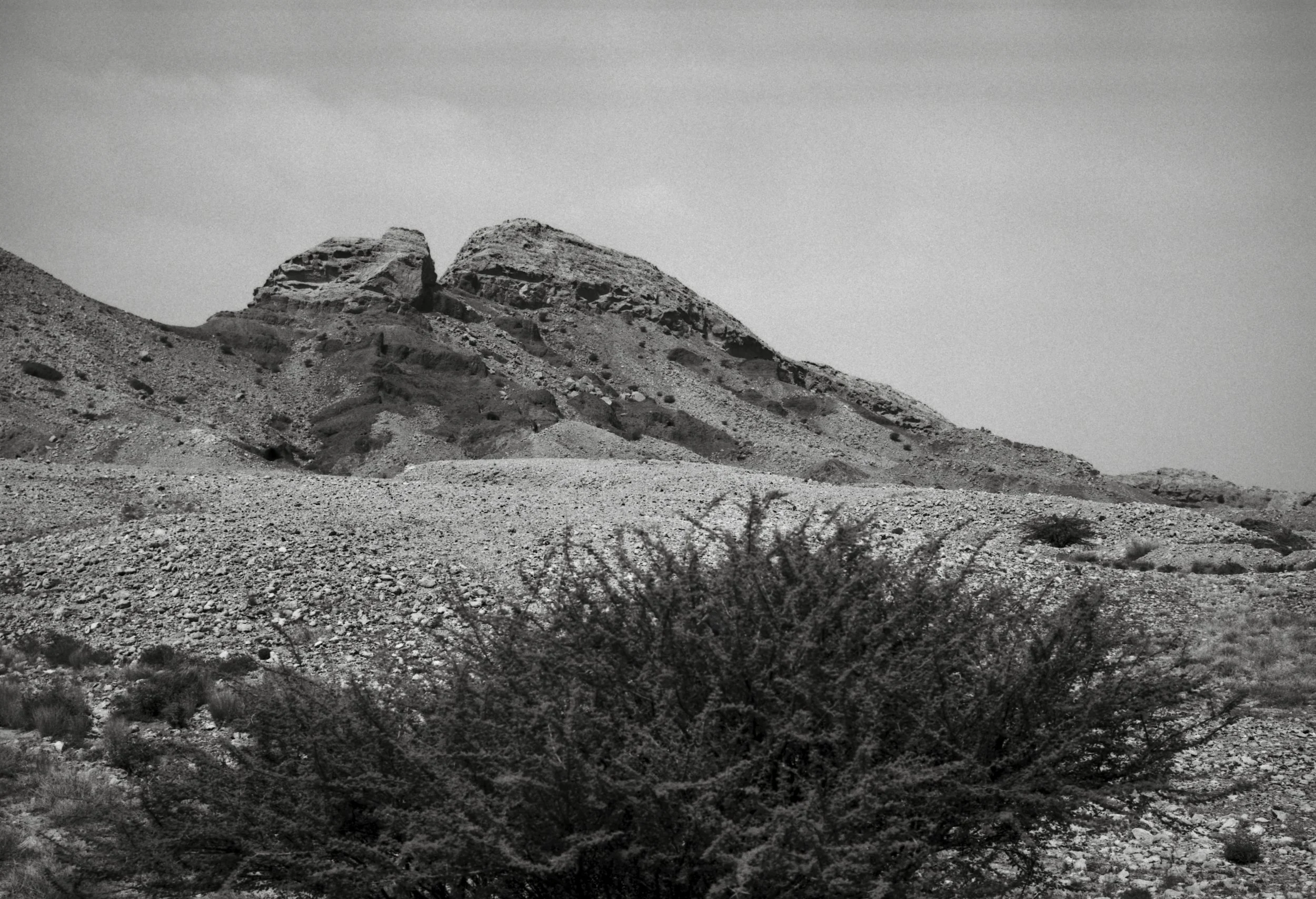 Buhais_Leica Monopan 50_0038_Web resolution.jpg