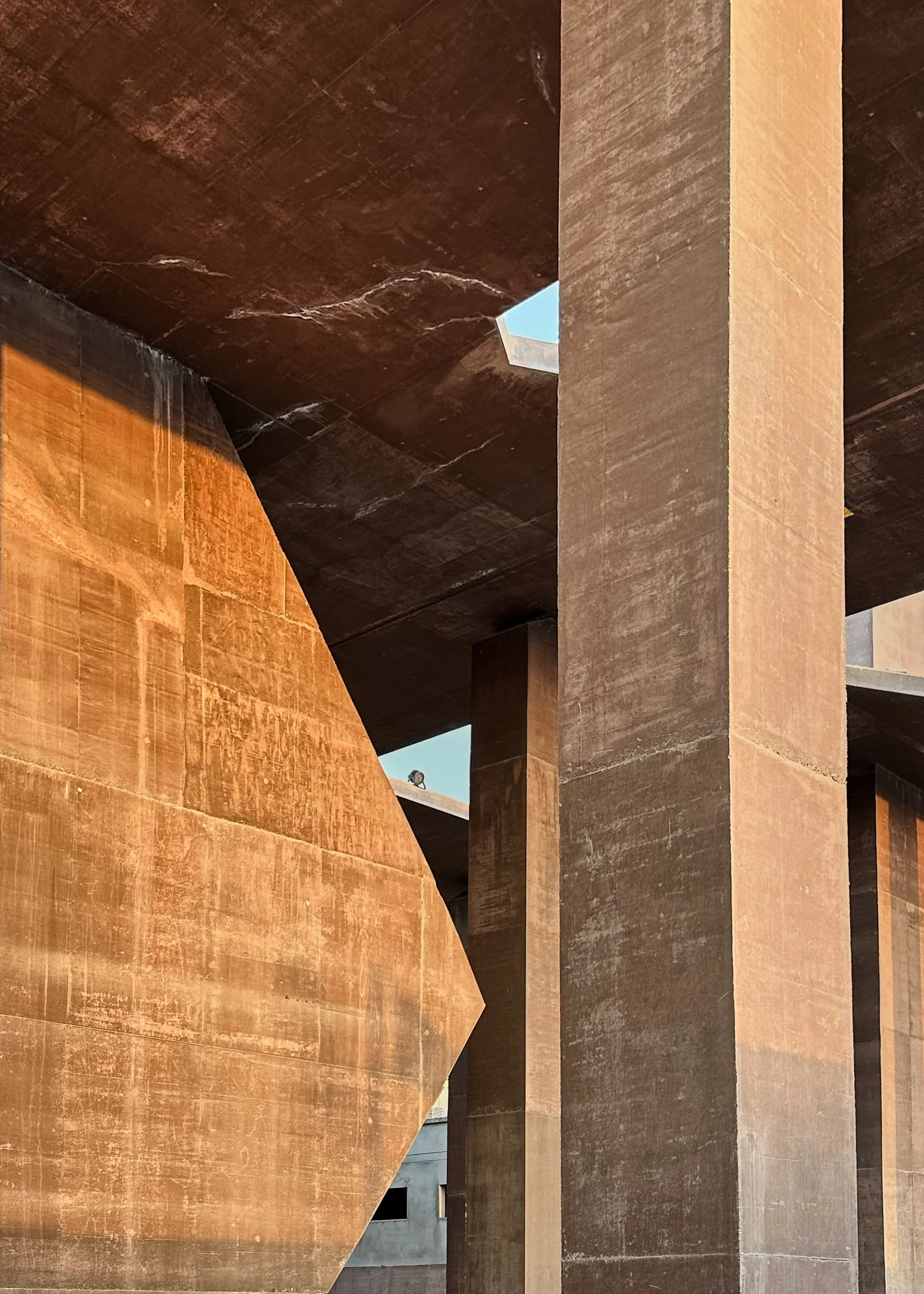 PP_11_Large resolution.jpg