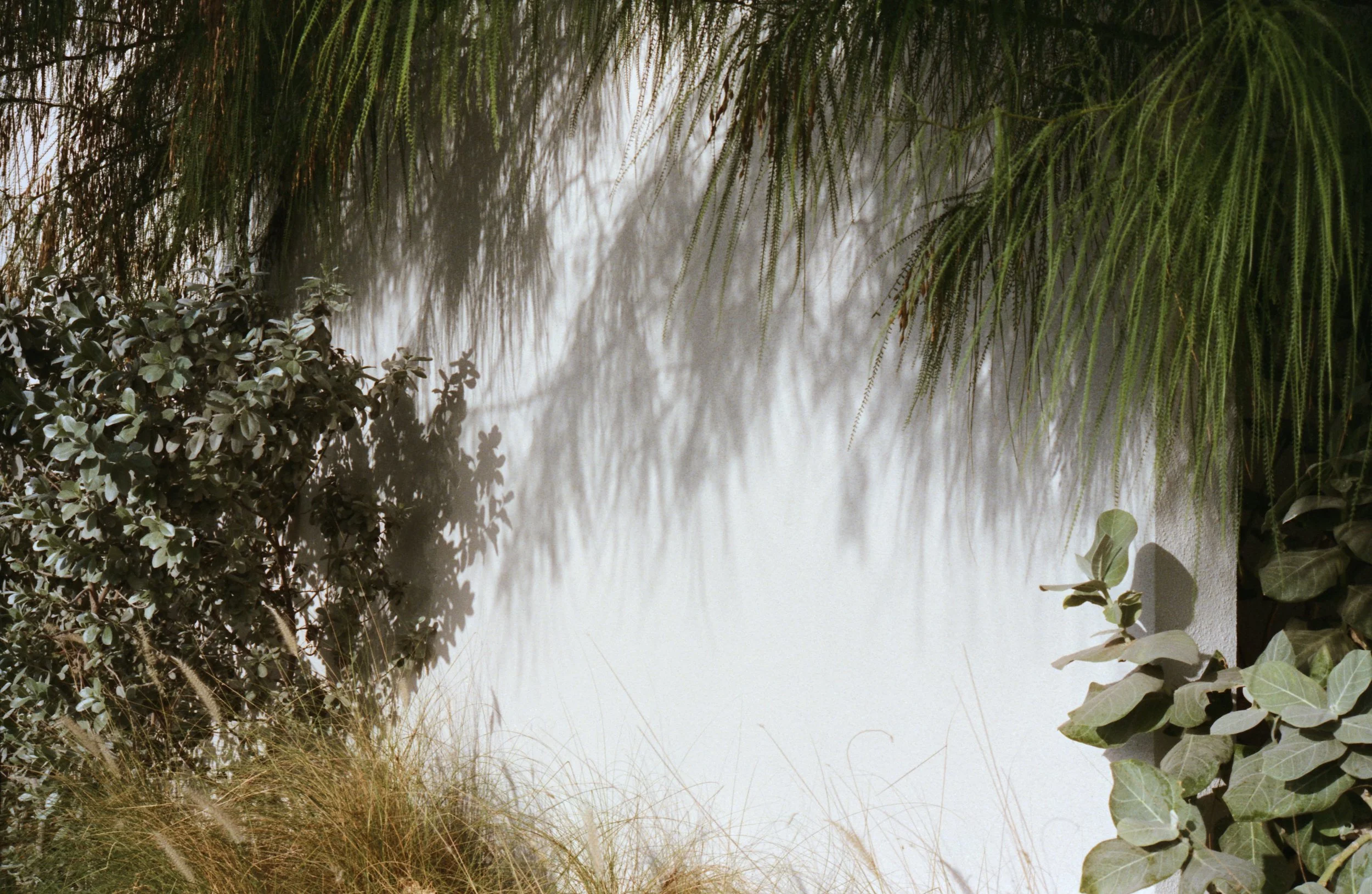 Paus Club_Film_ 16_Retouch Preview.jpg