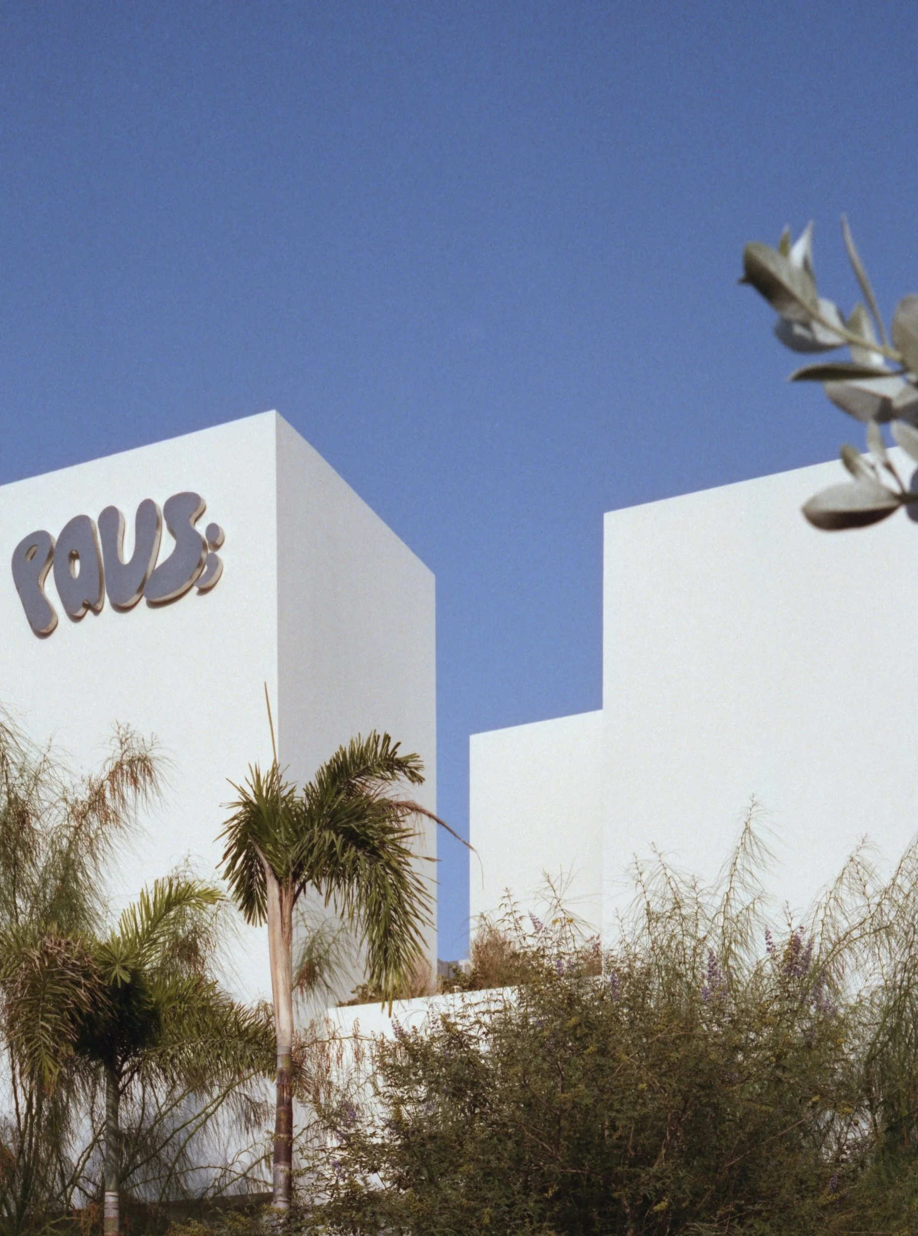 Paus Club_Film_ 2_Retouch Preview.jpg