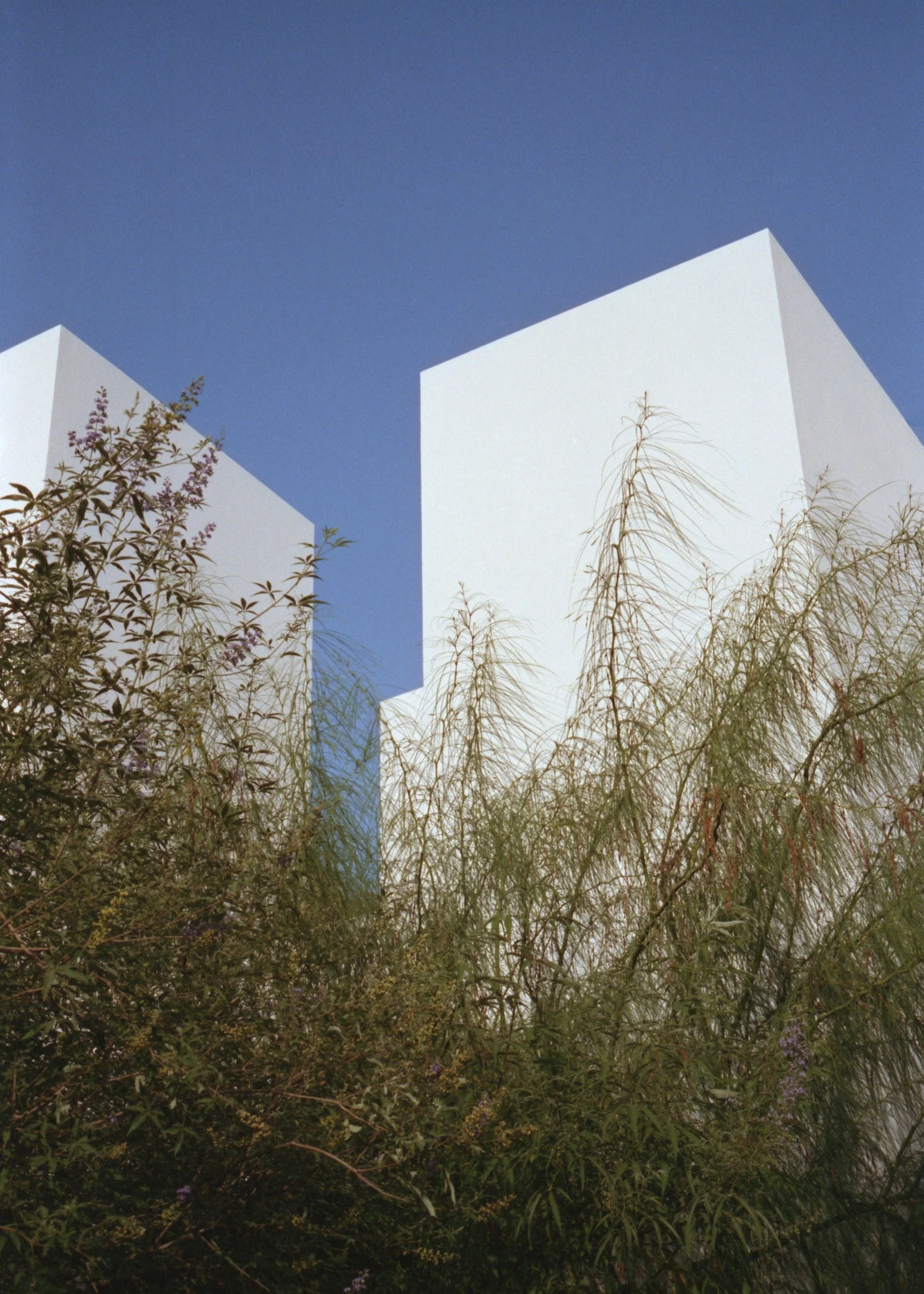 Paus Club_Film_ 3_Retouch Preview.jpg