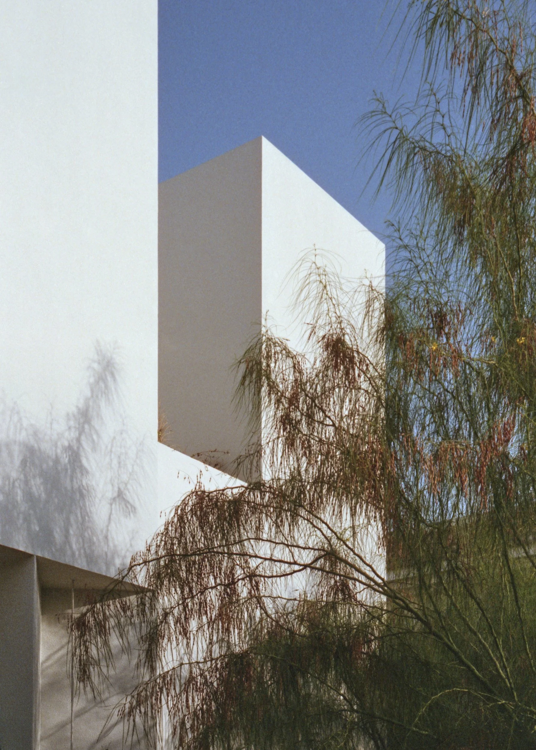 Paus Club_Film_ 1_Retouch Preview.jpg