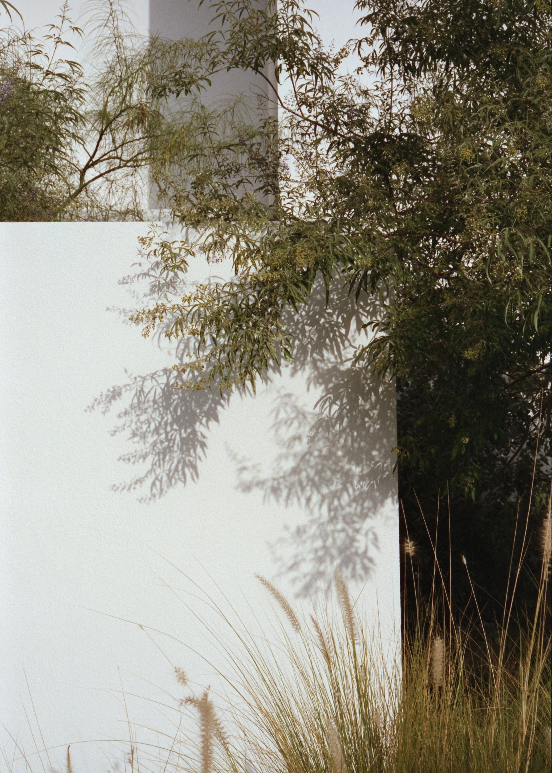 Paus Club_Film_ 13_Retouch Preview.jpg