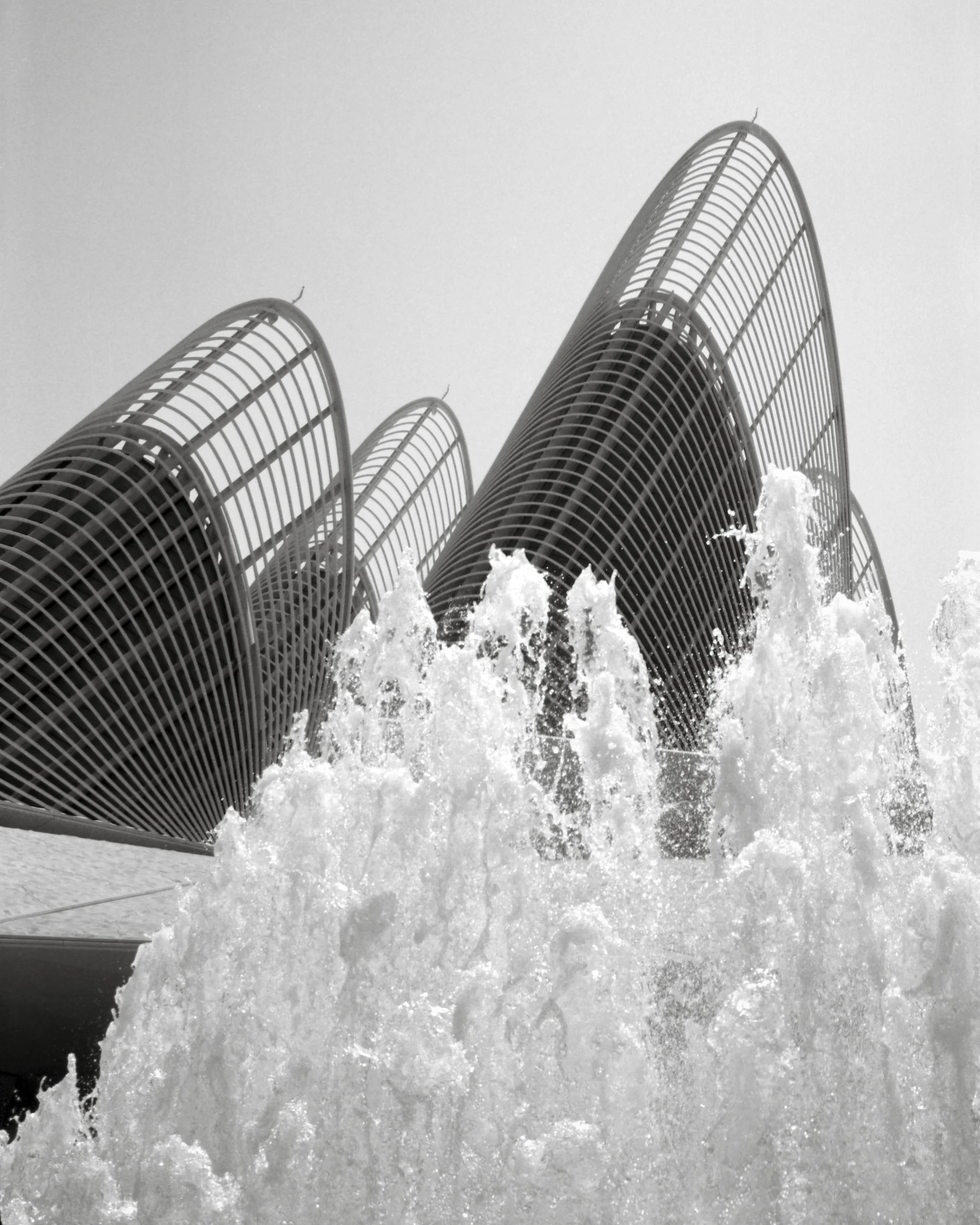 Zayed_AD_TMax100__Web resolution.jpg