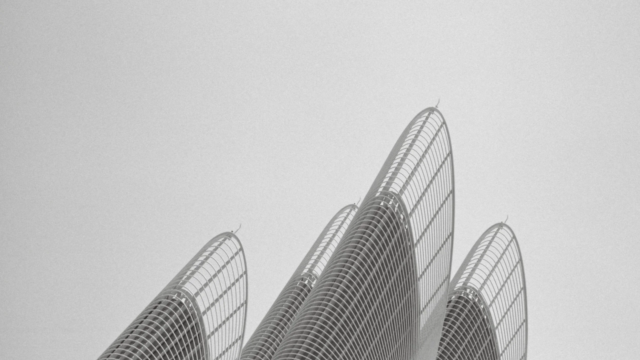 Zayed Museium_AD_TMax400_0023_Web resolution.jpg