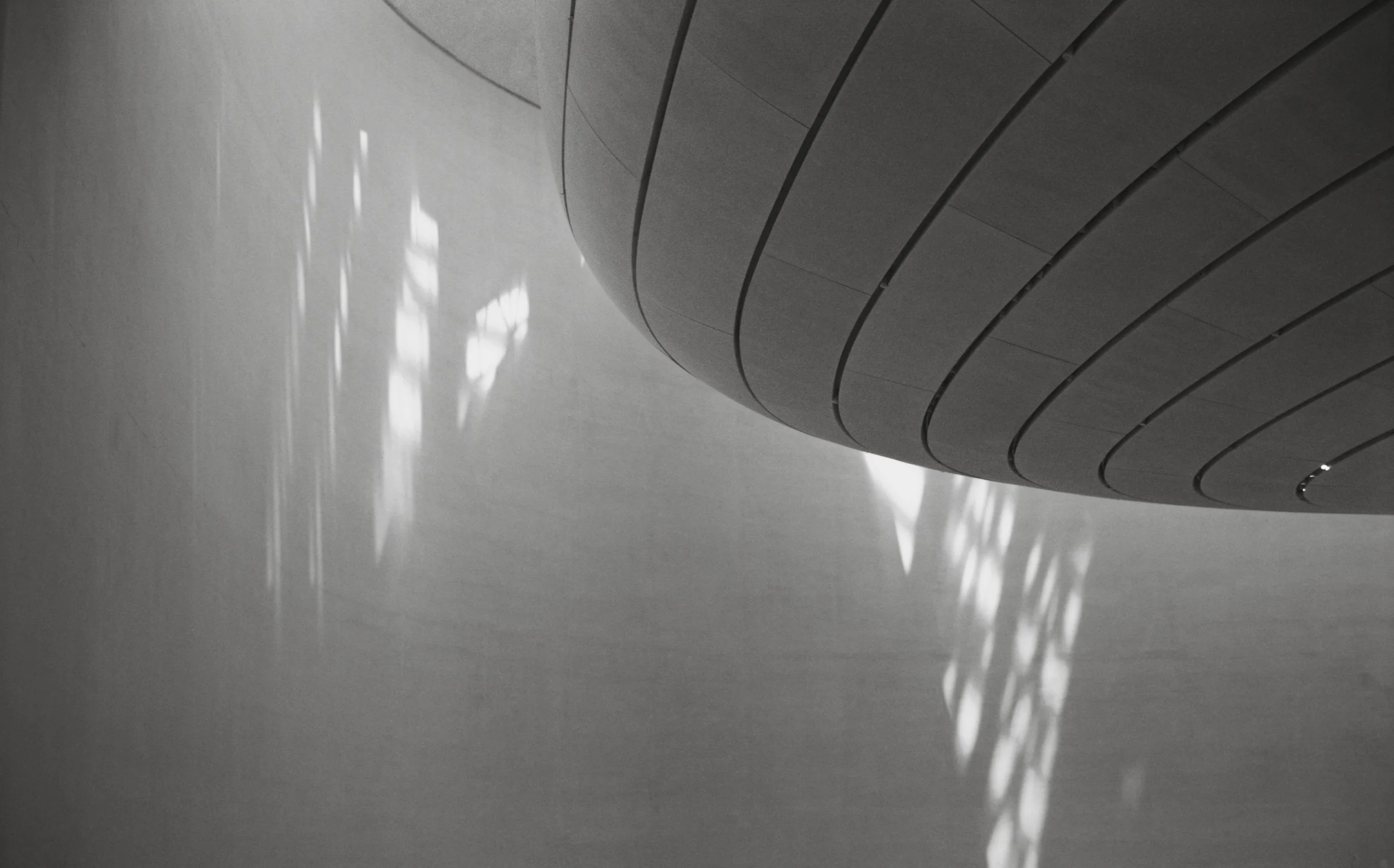 Zayed Museium_AD_TMax400_0020_Web resolution.jpg