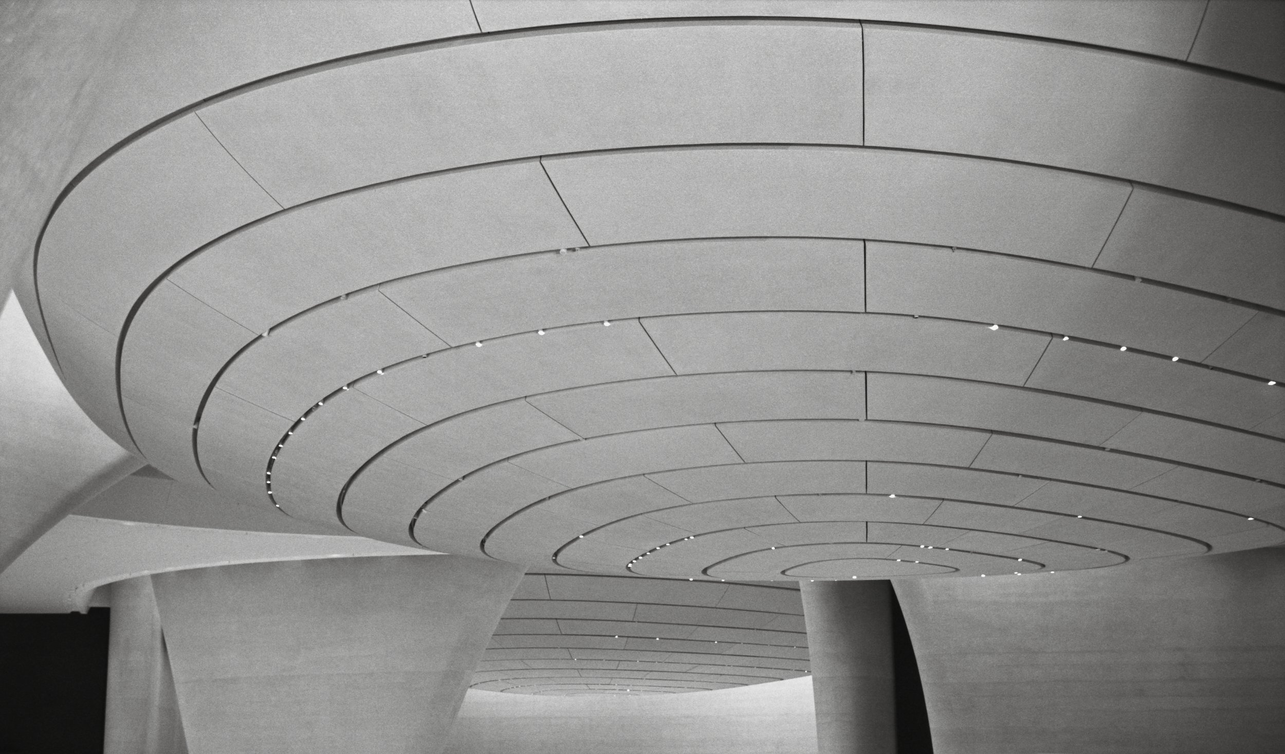Zayed Museium_AD_TMax400_0019_Web resolution.jpg