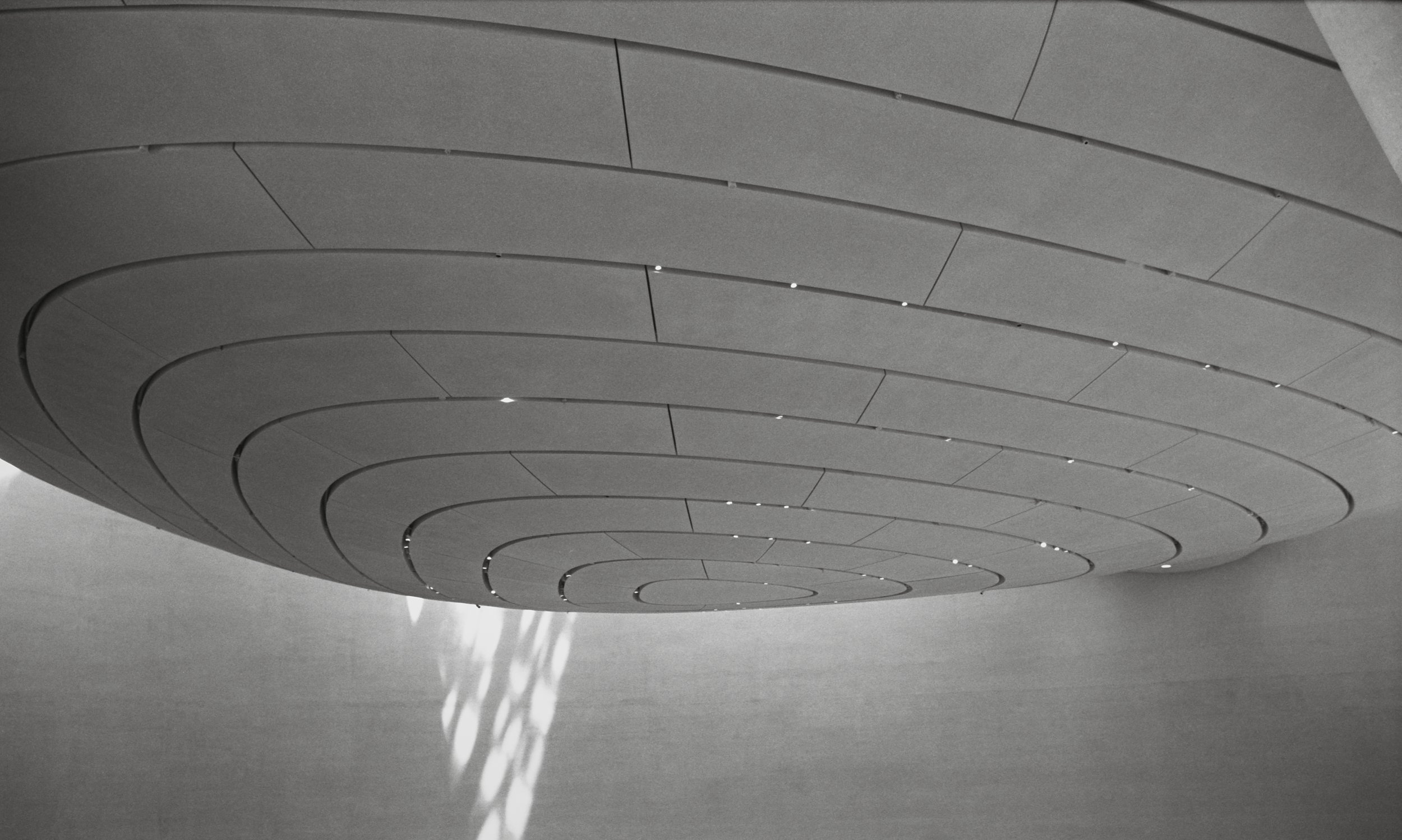 Zayed Museium_AD_TMax400_0017_Web resolution.jpg