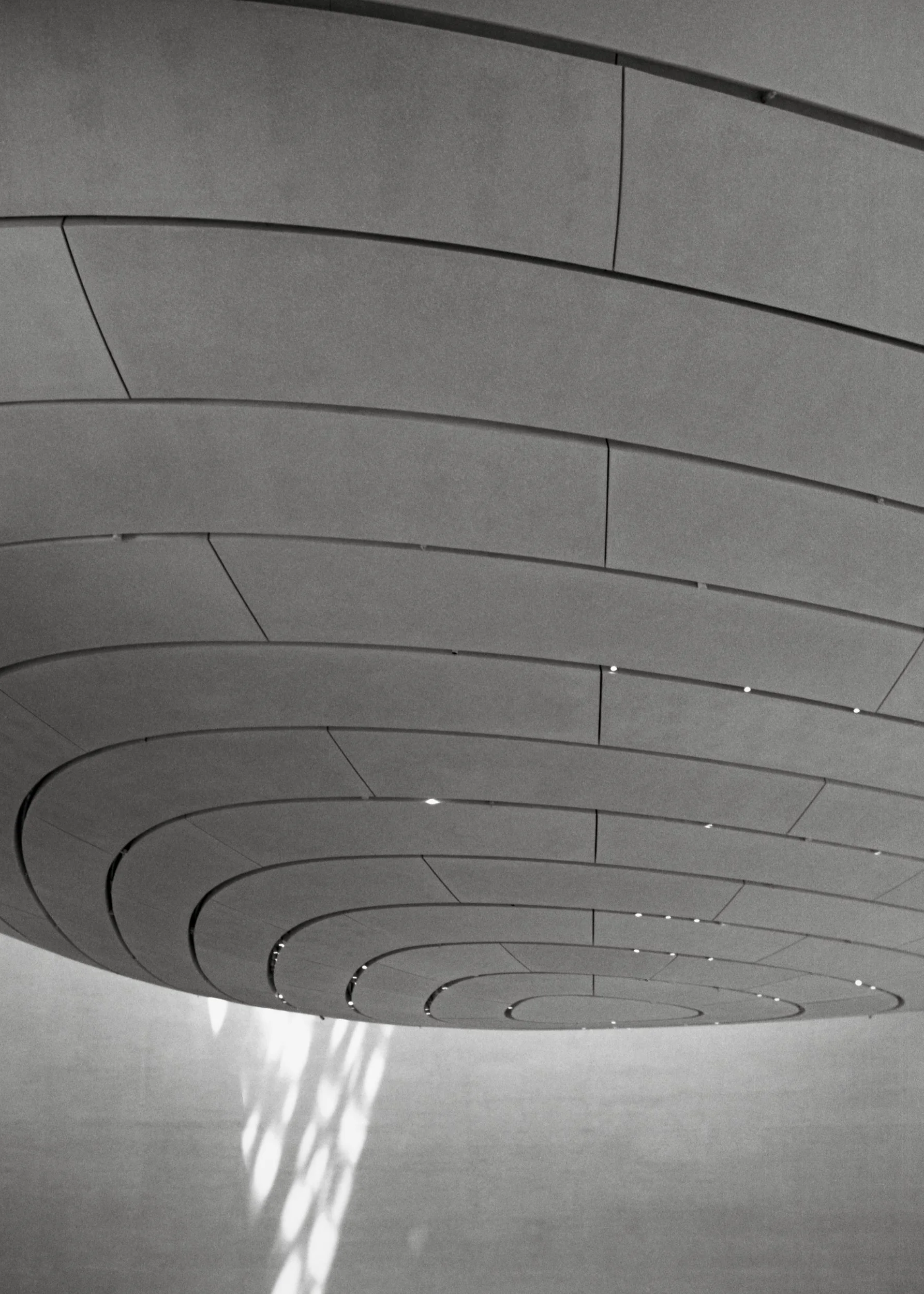 Zayed Museium_AD_TMax400_0018_Web resolution.jpg