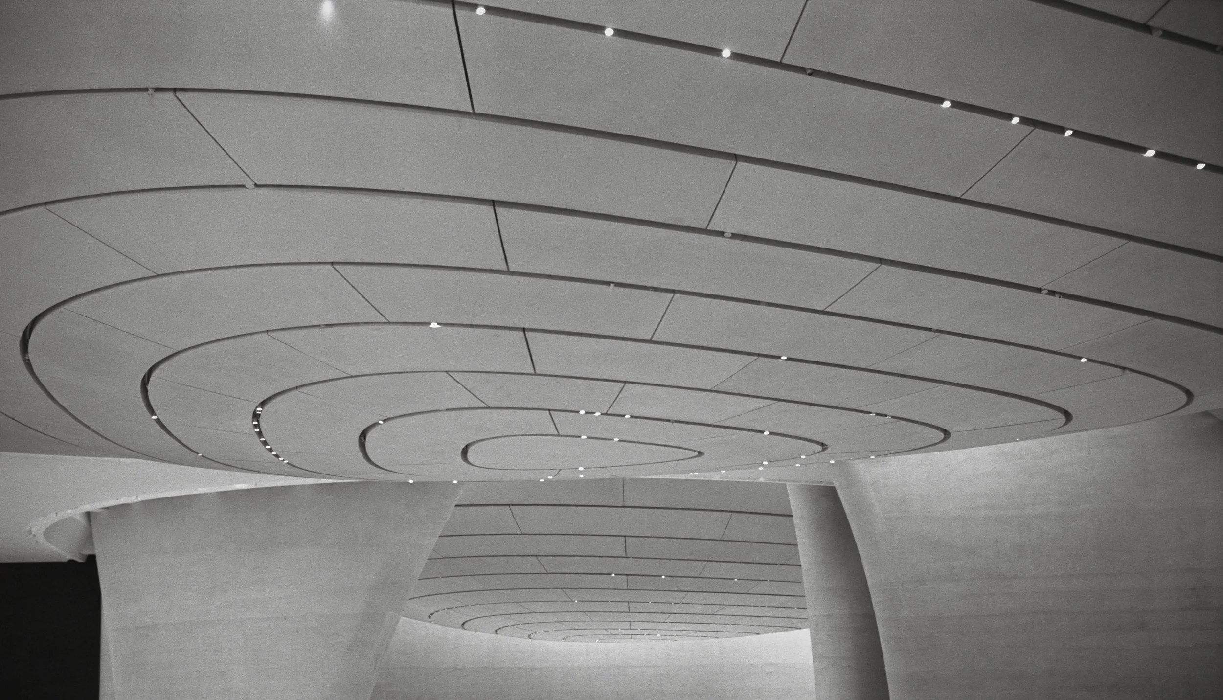 Zayed Museium_AD_TMax400_0016_Web resolution.jpg