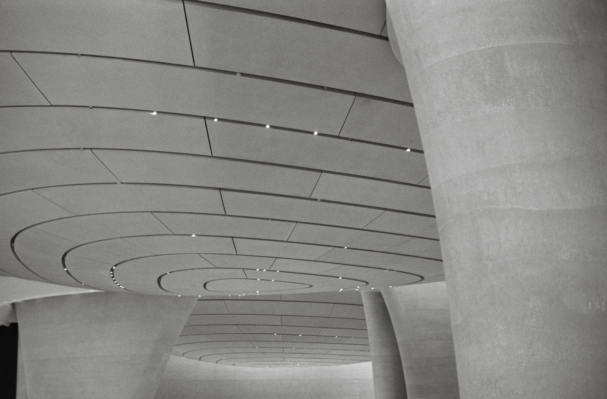 Zayed Museium_AD_TMax400_0014_Web resolution.jpg