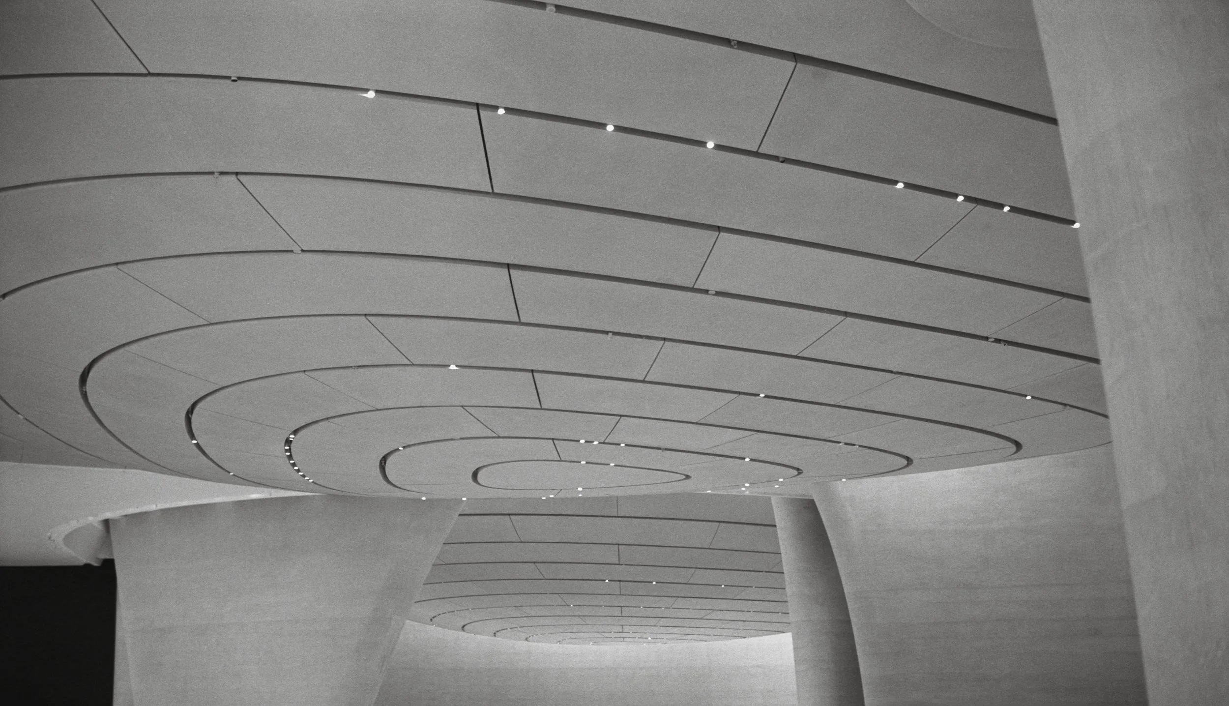 Zayed Museium_AD_TMax400_0015_Web resolution.jpg