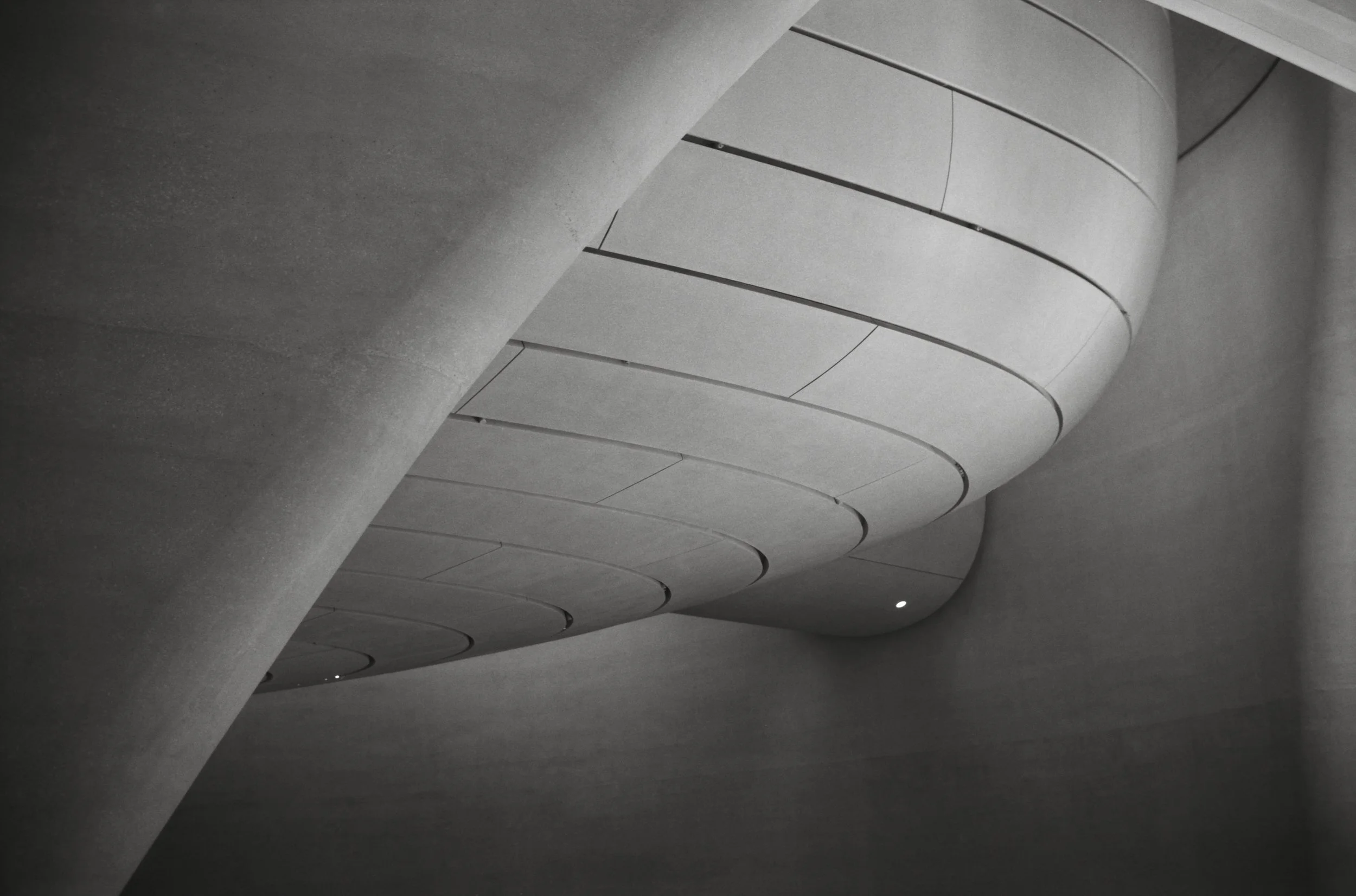 Zayed Museium_AD_TMax100_0025_Web resolution.jpg