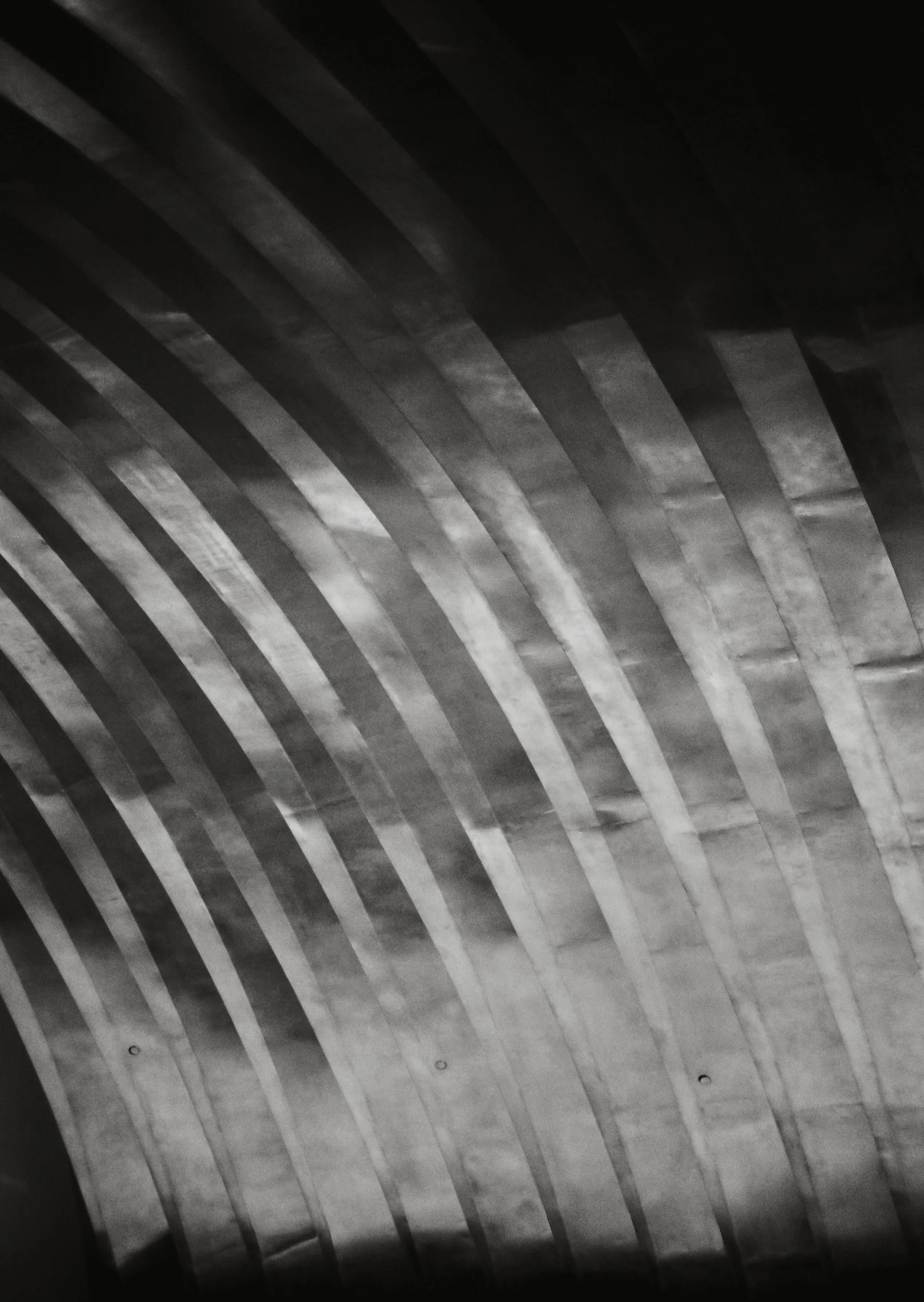 Zayed Museium_AD_TMax100_0008_Web resolution.jpg