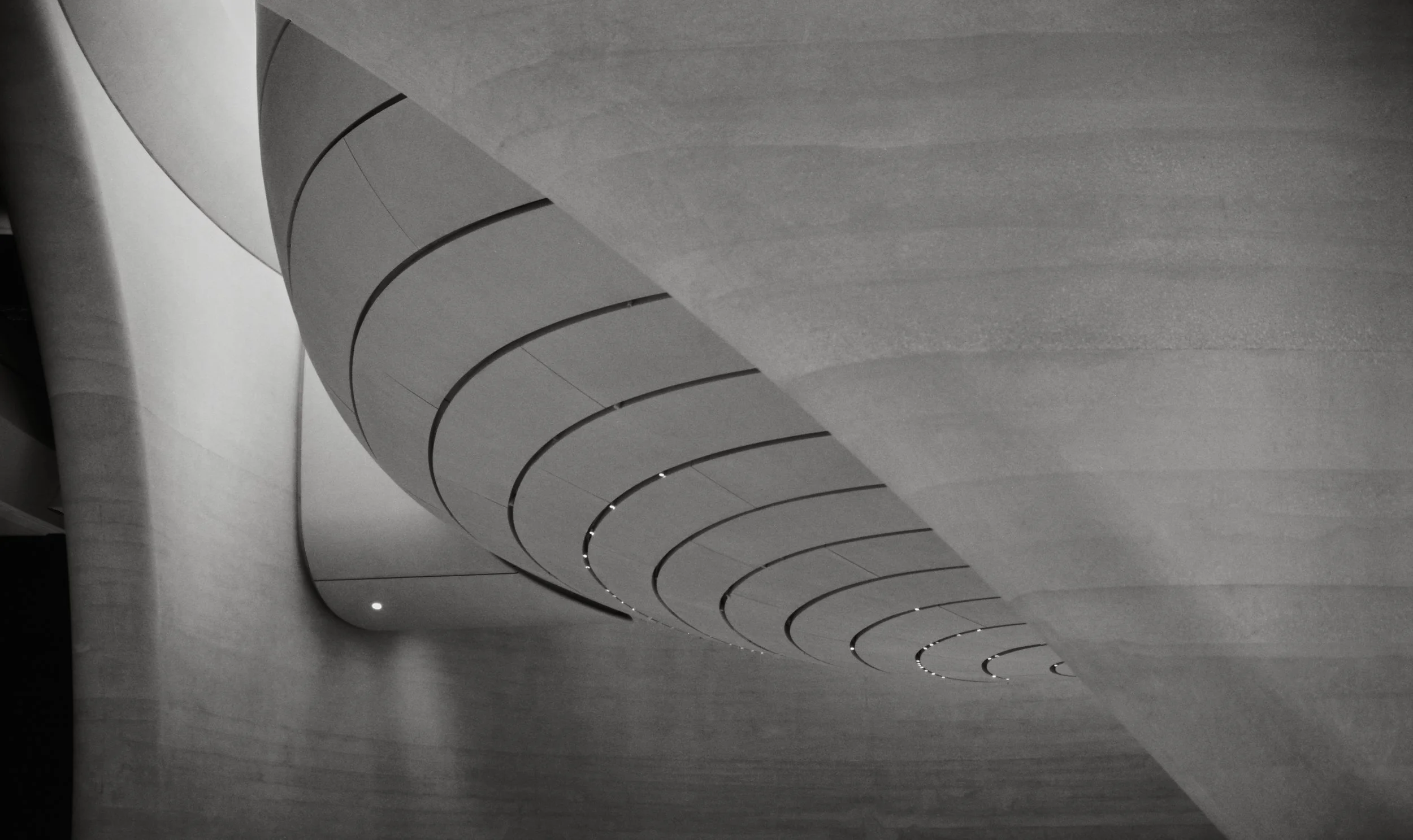 Zayed Museium_AD_TMax100_0010_Web resolution.jpg
