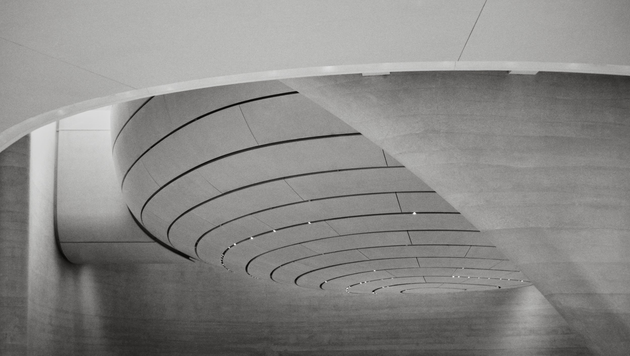 Zayed Museium_AD_TMax100_0006_Web resolution.jpg