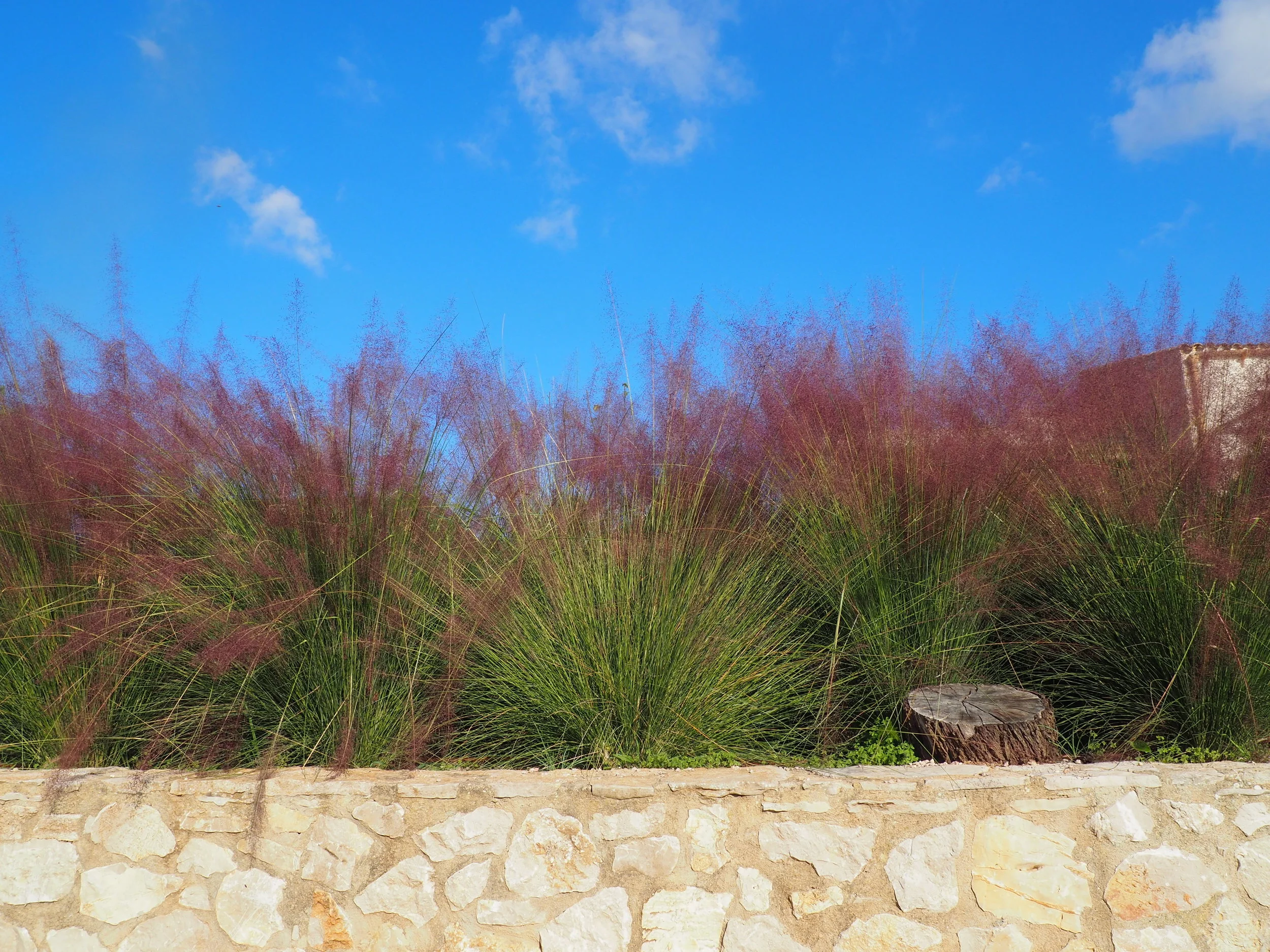 PA291335.jpg