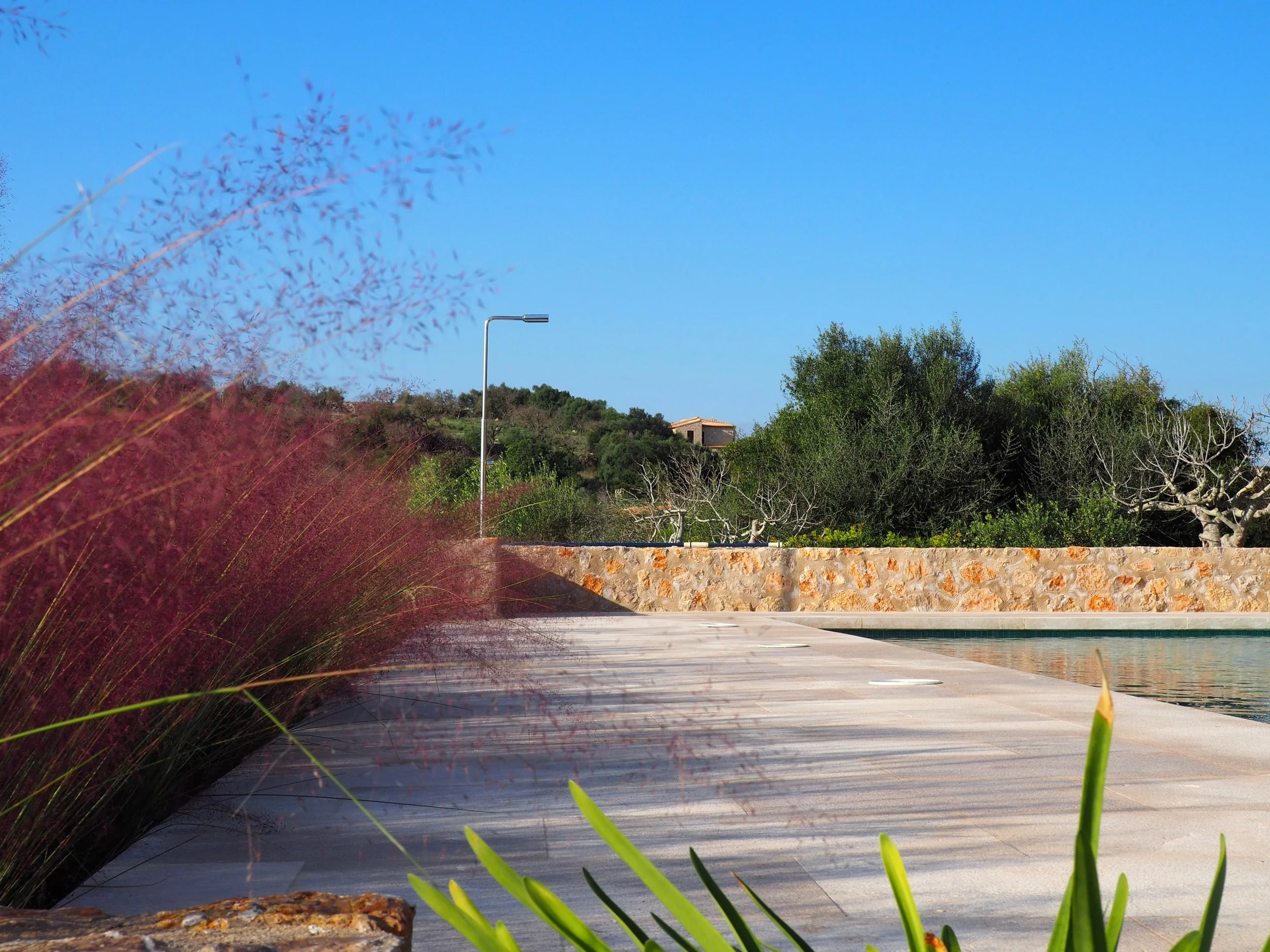 PA291337.jpg