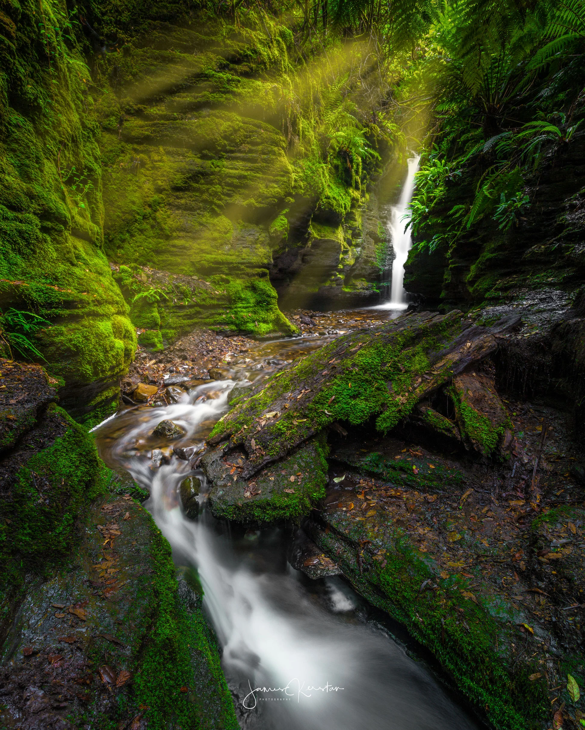 secret falls rays 1-1.jpg