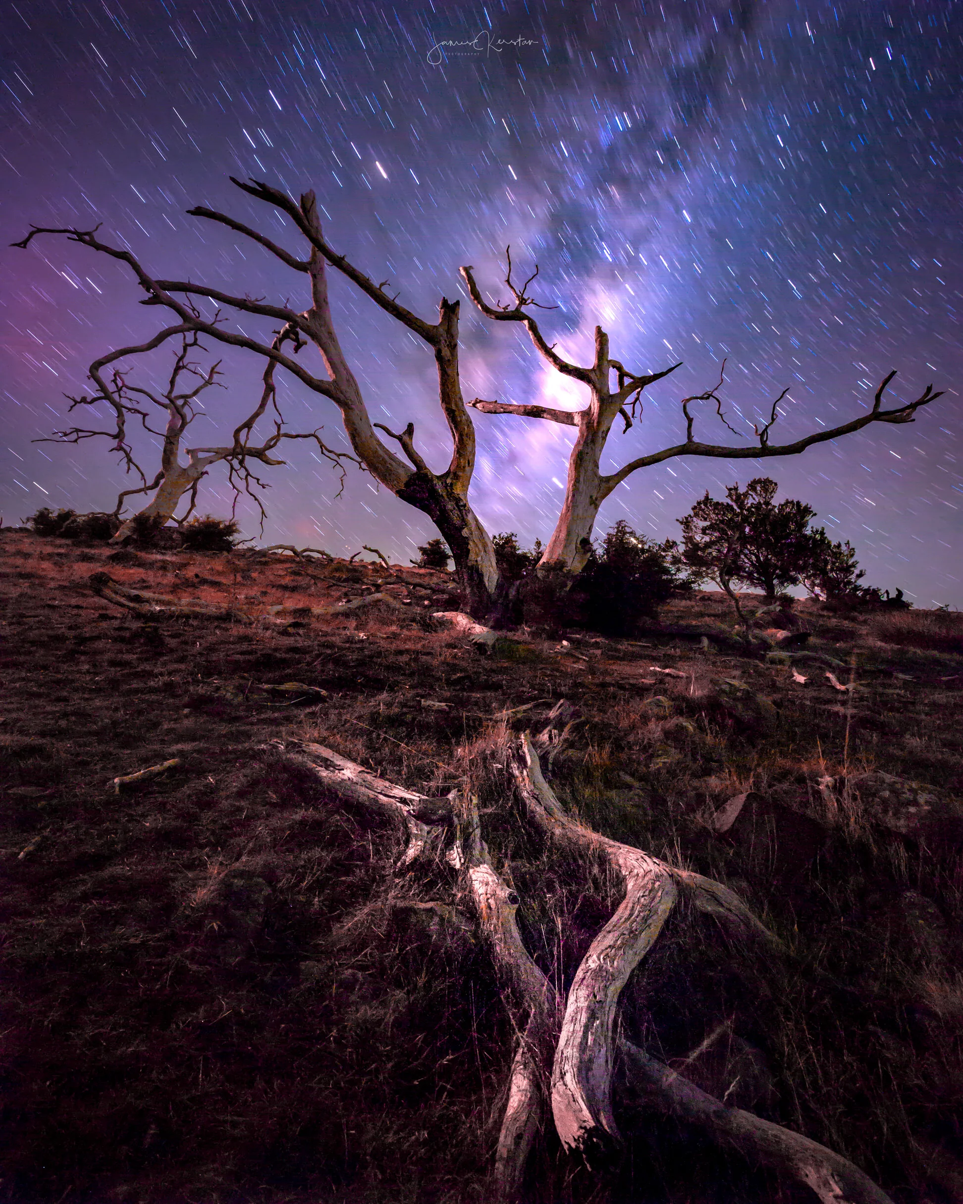Tasmanian Workshops