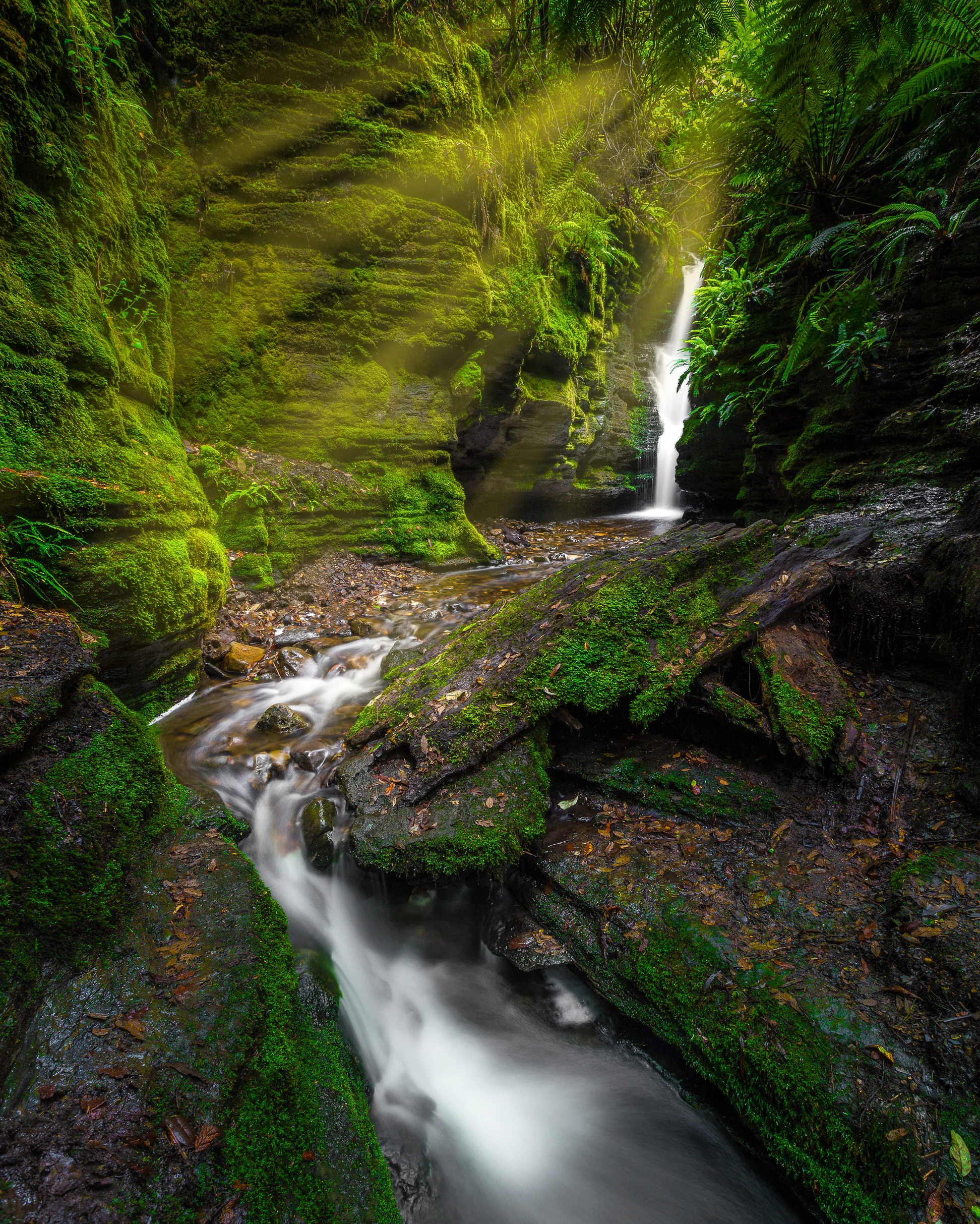 secret falls - hobart