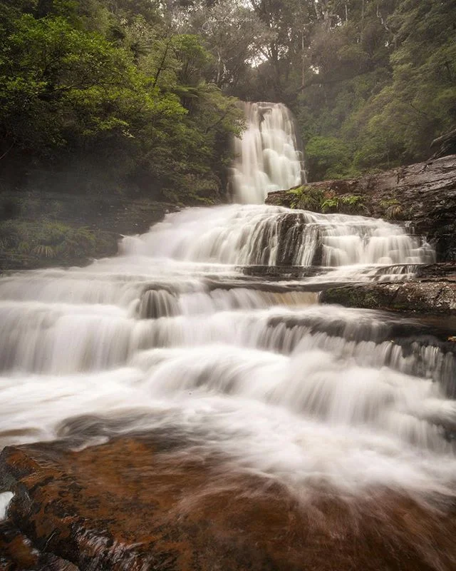 Ive been wanting to visit these falls since my first ever trip to NZ three years ago. I knew I had to add them on my itinerary for this trip with @wildernessnz 😆 ⠀⠀⠀⠀⠀⠀⠀⠀⠀⠀⠀⠀⠀⠀⠀⠀⠀⠀⠀⠀⠀⠀⠀⠀⠀⠀⠀⠀⠀
⠀⠀⠀⠀⠀⠀⠀⠀⠀⠀⠀⠀⠀⠀⠀⠀⠀
--------------------------------------------
Shot with: 
@Canonaustralia 6D 
@canonaustralia 16-35 2.8 ii @nisifiltersaustralia Landscape CPL 
NiSi 3 stop grad ND 
@siruiaustralia W-2204 Tripod with K-30x Ball Head
--------------------------------------------- ⠀⠀⠀⠀⠀⠀⠀⠀⠀⠀⠀⠀⠀⠀⠀⠀⠀⠀⠀⠀⠀⠀⠀⠀⠀⠀⠀⠀⠀⠀⠀⠀⠀⠀⠀⠀⠀⠀⠀⠀⠀
#wildernessnz #sponsored #purenewzealnd #kiwiphotos #destinationnz #newzealandguide #ignewzealand #earth_deluxe #ig_today #huffpostgram #newzealandvacations #canonnz #Exploringtheglobe #bestworldpics #phenomenalshot  #splendid_shotz  #purenz #earthpix  #ig_bliss #earthpics #amazing_captures #main_vision  #canonaustralia #canon_photos #igrefined  #global_hotshotz #bestnatureshots #igpowerclub #igphotoworld #longexposure_shots