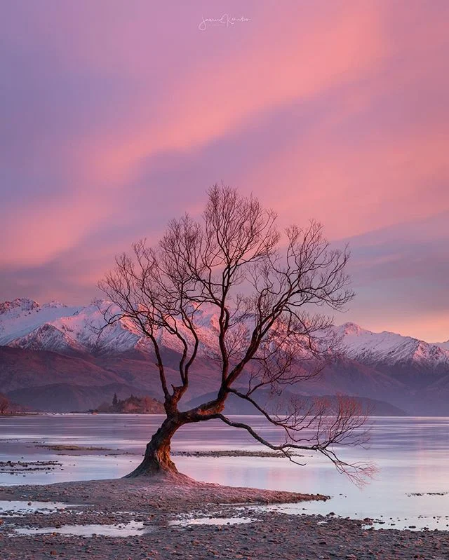 After an epic Sunrise with @wildernessNZ in the blink of an eye the scene turned from crazy reds to soft pastel pinks! ⠀⠀⠀⠀⠀⠀⠀⠀⠀⠀⠀⠀⠀⠀⠀⠀⠀⠀⠀⠀⠀⠀⠀⠀⠀⠀⠀⠀⠀
⠀⠀⠀⠀⠀⠀⠀⠀⠀⠀⠀⠀⠀⠀⠀⠀⠀
--------------------------------------------
Shot with: 
@Canonaustralia 6D 
@sigmaphotoaustralia 70-200 2.8
@nisifiltersaustralia landscape cpl
NiSi 10 stop ND
NiSi 3 stop reverse grad
@siruiaustralia W-2204 Tripod with K-30x Ball Head
--------------------------------------------- ⠀⠀⠀⠀⠀⠀⠀⠀⠀⠀⠀⠀⠀⠀⠀⠀⠀⠀⠀⠀⠀⠀⠀⠀⠀⠀⠀⠀⠀⠀⠀⠀⠀⠀⠀⠀⠀⠀⠀⠀⠀
#wildernessnz #sponsored #purenewzealnd #kiwiphotos #destinationnz #newzealandguide #ignewzealand #earth_deluxe #ig_today #huffpostgram #newzealandvacations #canonnz #Exploringtheglobe #bestworldpics #phenomenalshot  #splendid_shotz  #purenz #earthpix  #ig_bliss #earthpics #amazing_captures #main_vision  #canonaustralia #canon_photos #igrefined  #global_hotshotz #bestnatureshots #igpowerclub #igphotoworld #longexposure_shots