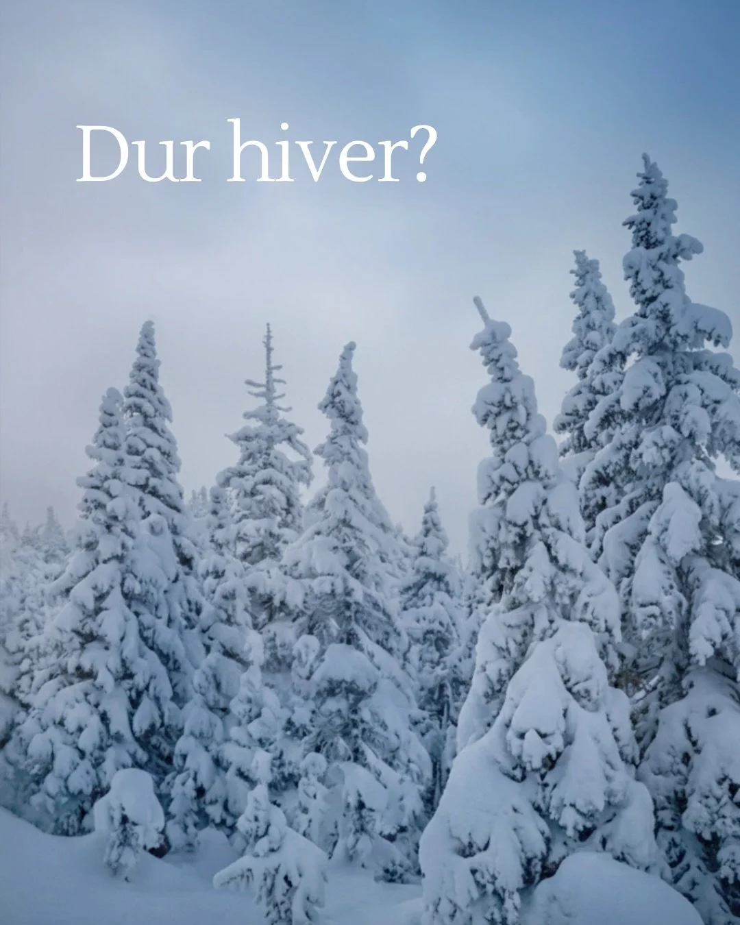 Moins de lumi&egrave;re, moins d&rsquo;&eacute;lan, plus de fatigue? L&rsquo;hiver demande naturellement plus de repos, de r&eacute;cup&eacute;ration. Mais le rythme de vie est exigeant et ton syst&egrave;me s&rsquo;essouffle.

L&rsquo;acupuncture pe