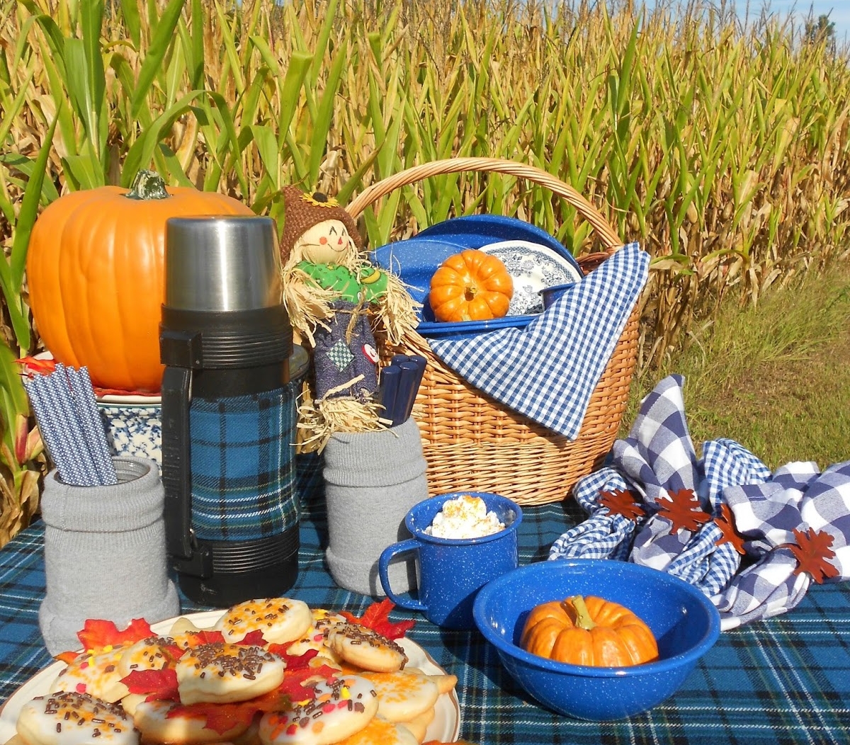 Cornfield PicnicDSCN7910.jpg